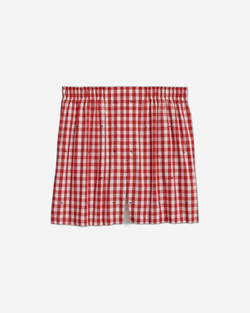 BXR CTN BC النمل في السراويل النمل