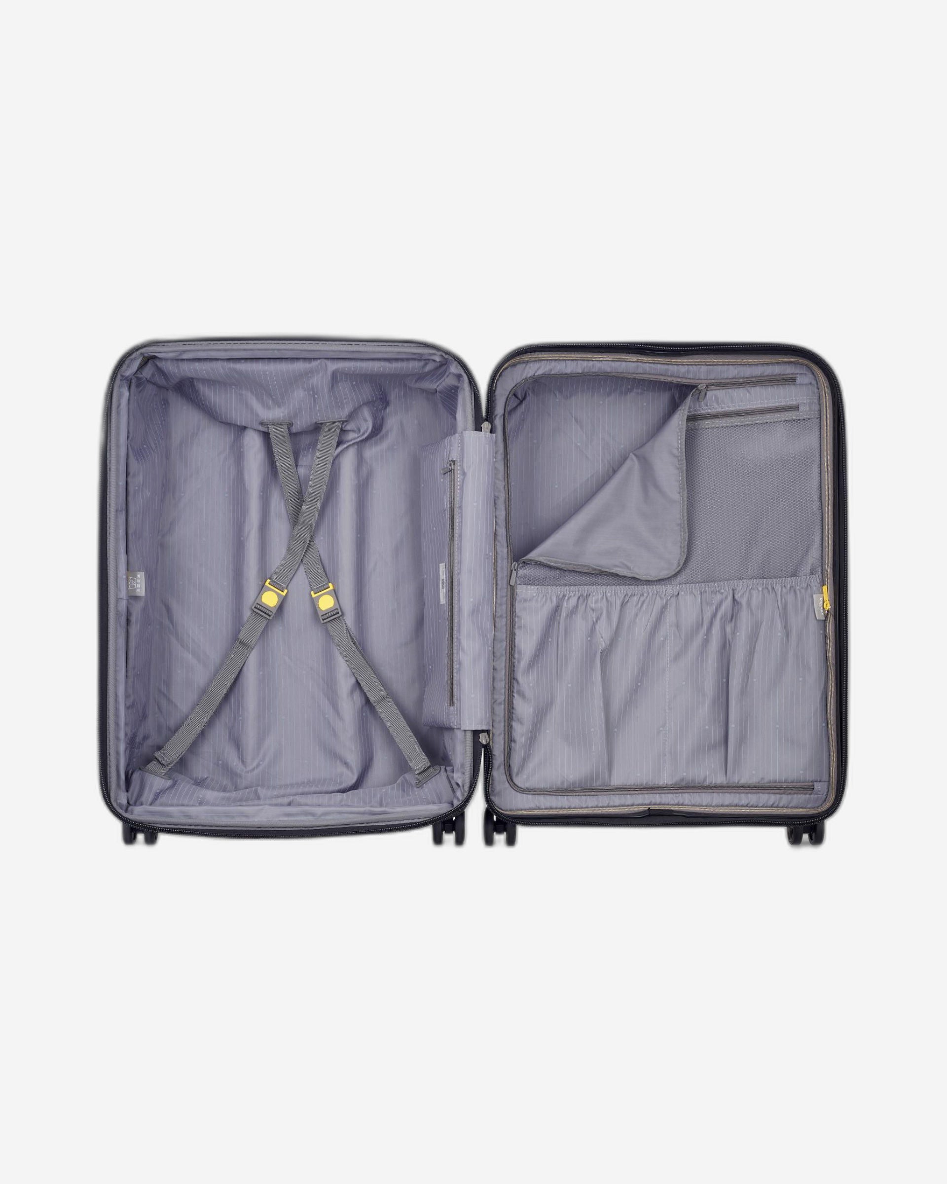 ديلسي باريس بروميناد هارد 2.0