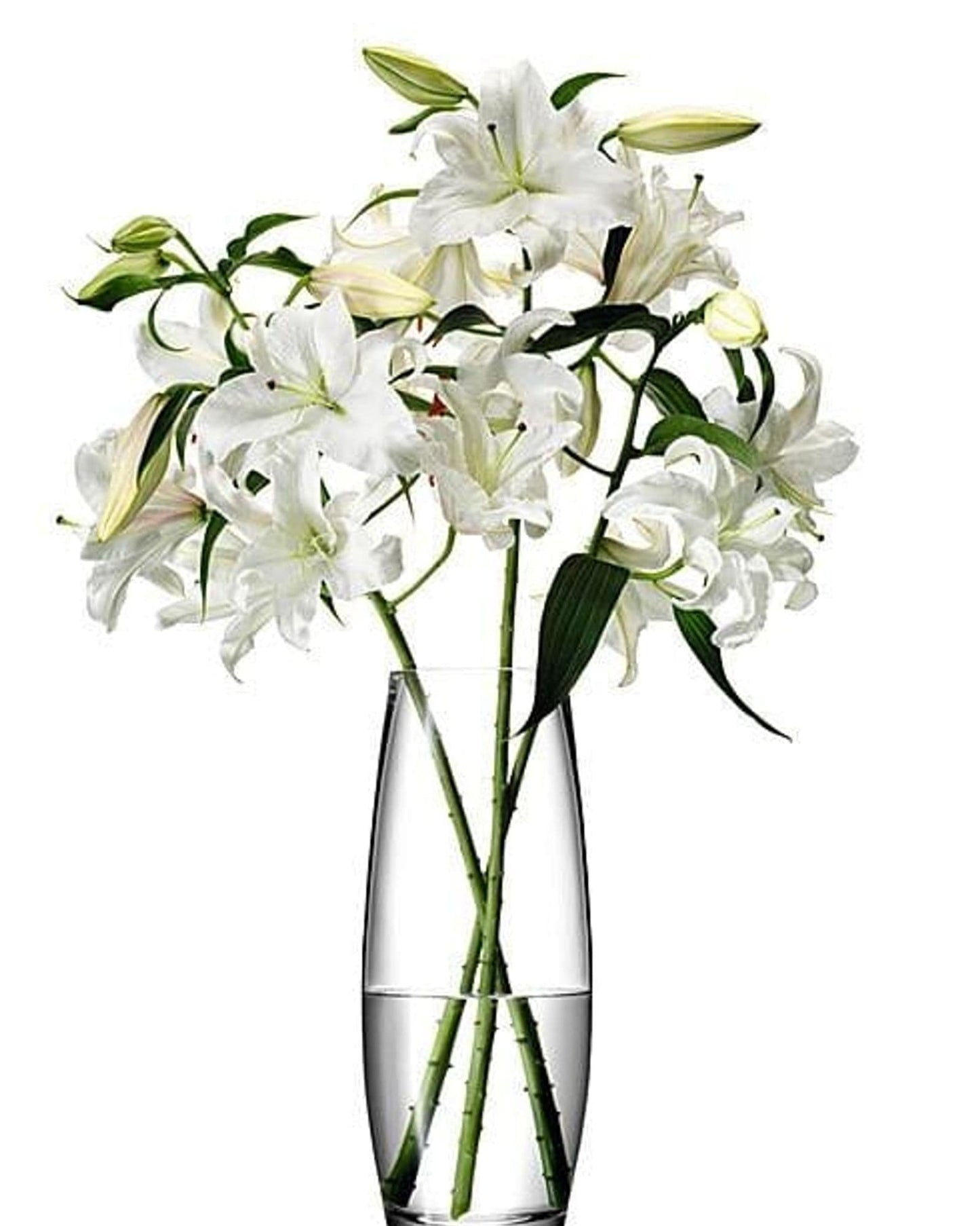 مزهرية Lsa Flower Grand Stem شفافة