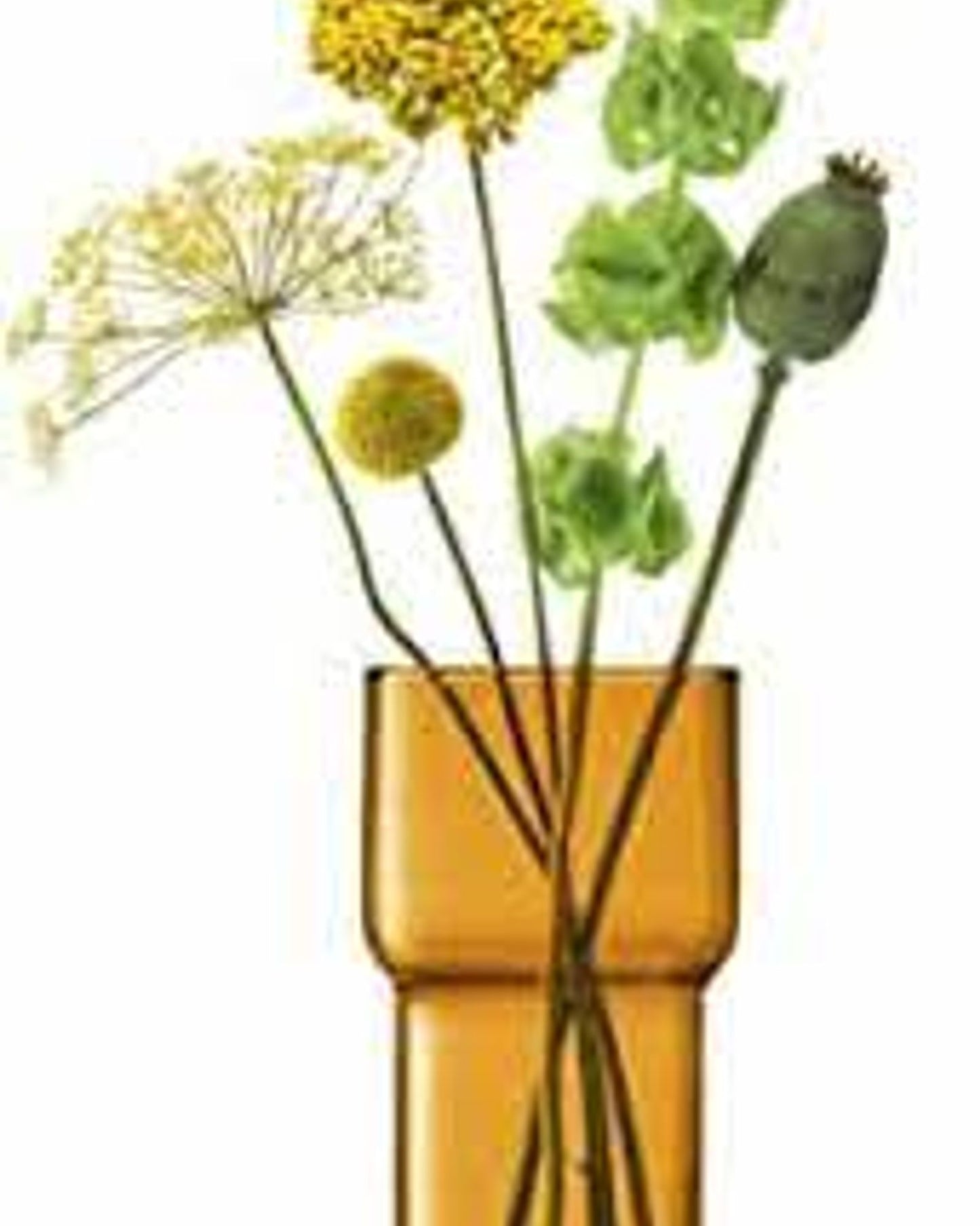 مزهرية عملية ارتفاع 22 سم، لون كهرماني