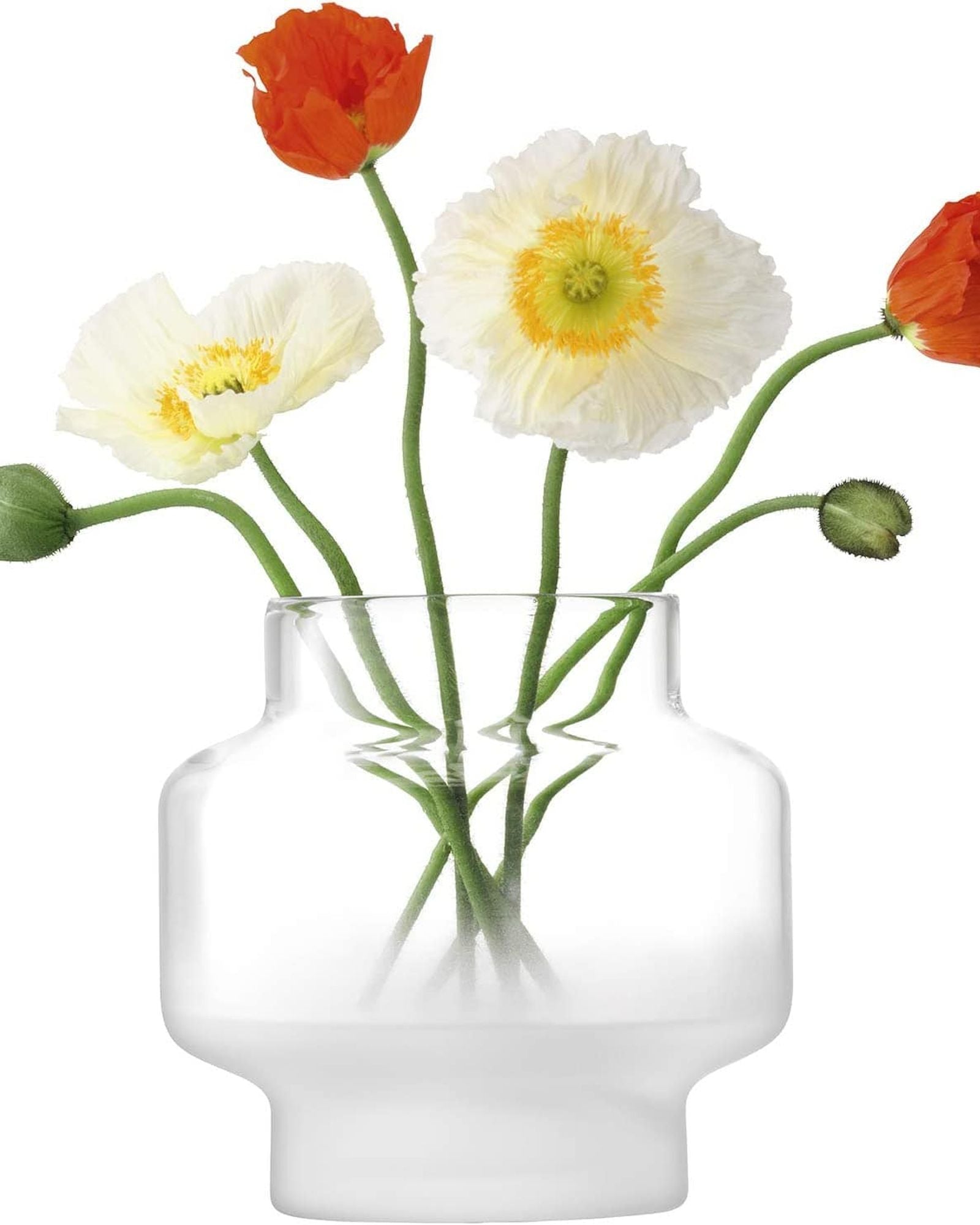 مزهرية ضبابية من Lsa، جزء من الصقيع