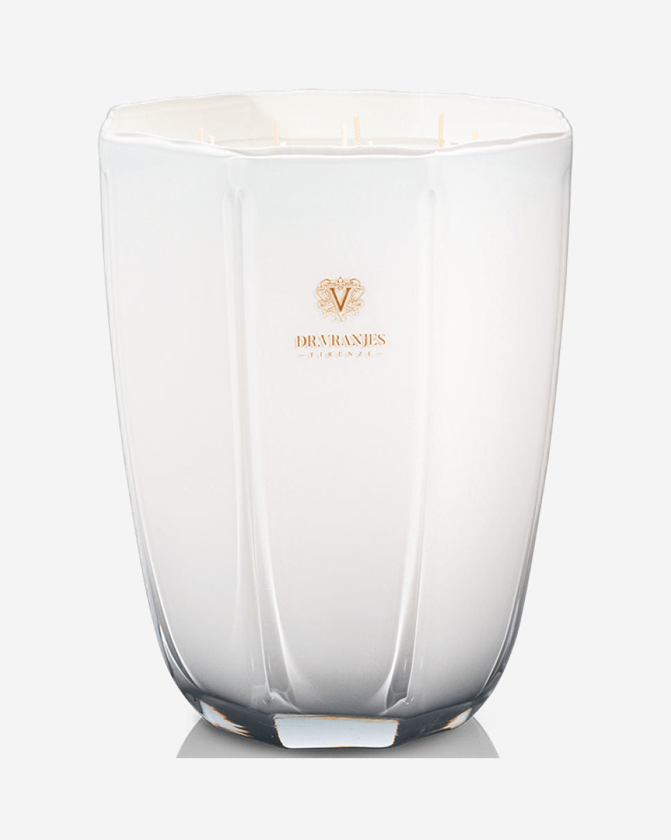 شمعة دكتور فرانيس الزخرفية برائحة الزنجبيل والليمون، ماكسي، 6 كجم