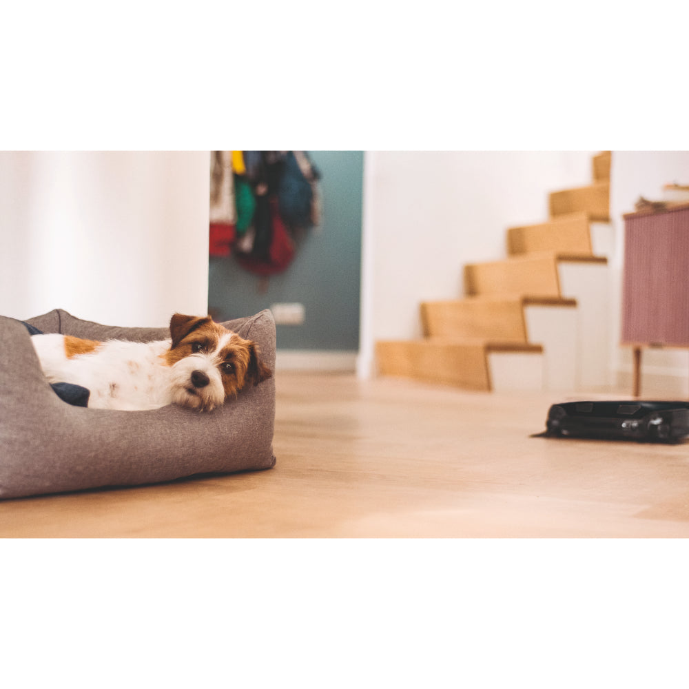 مكنسة كهربائية روبوتية من ميلي سكاوت RX3