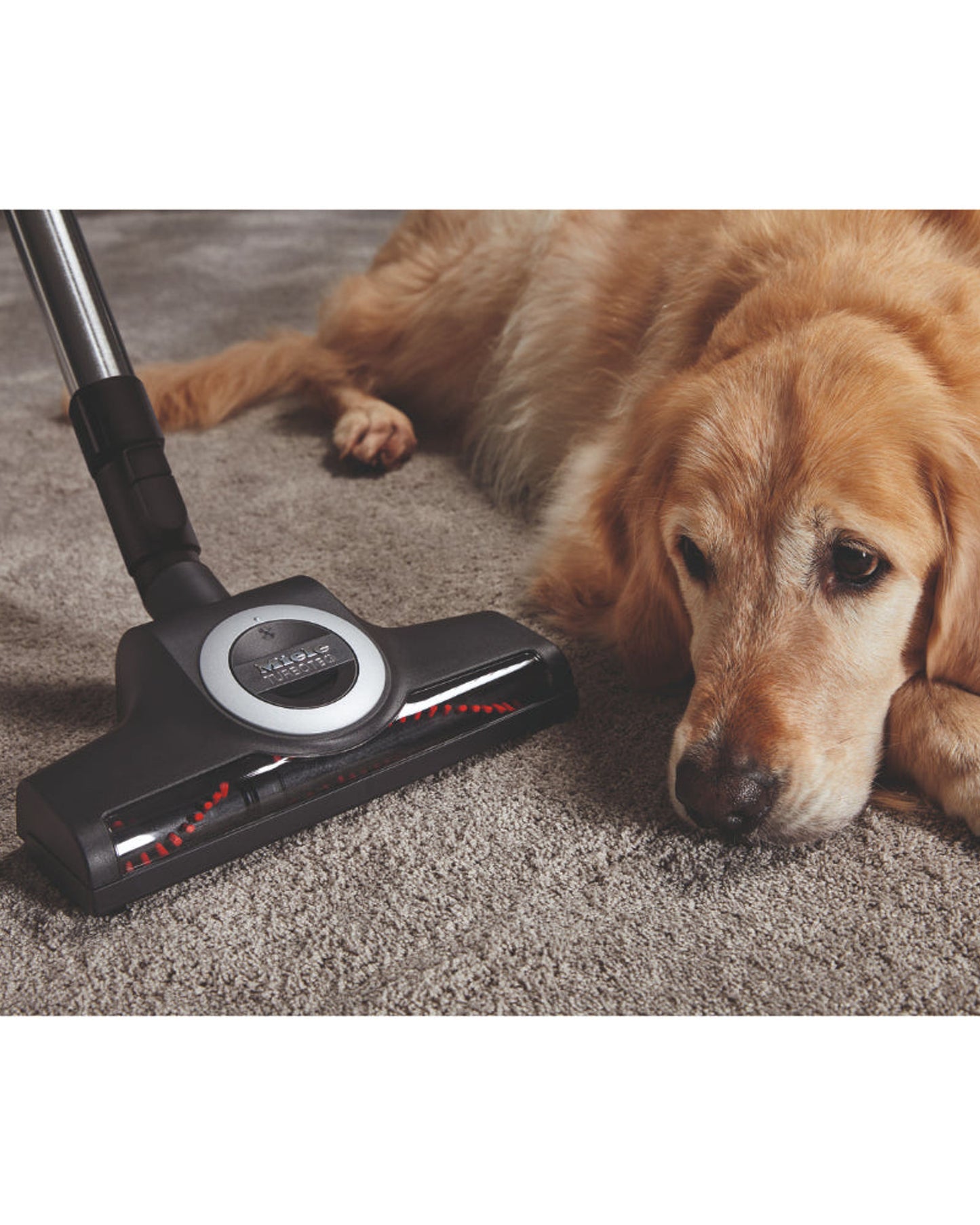 مكنسة كهربائية بدون كيس من Miele Blizzard CX1 Cat&Dog بلون أحمر مانجو