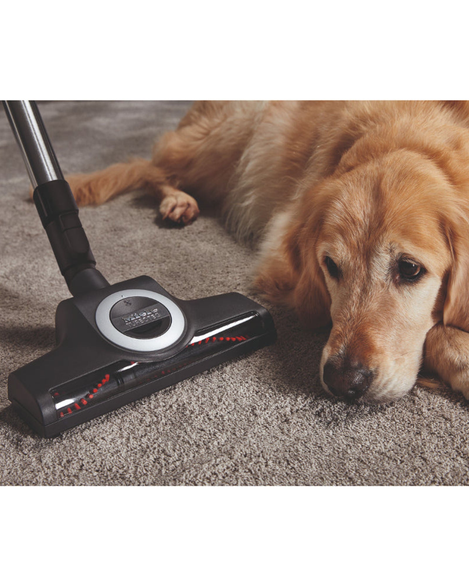 مكنسة ميلي بليزارد CX1 للقطط والكلاب