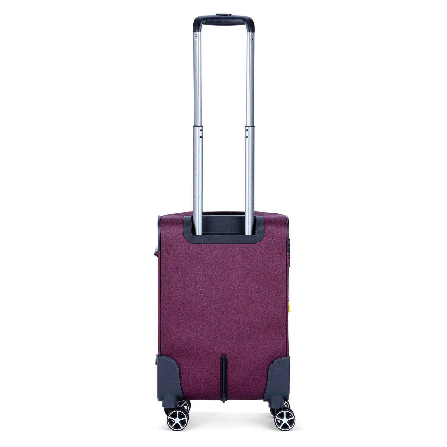 ديلسي باريس بريسيلا