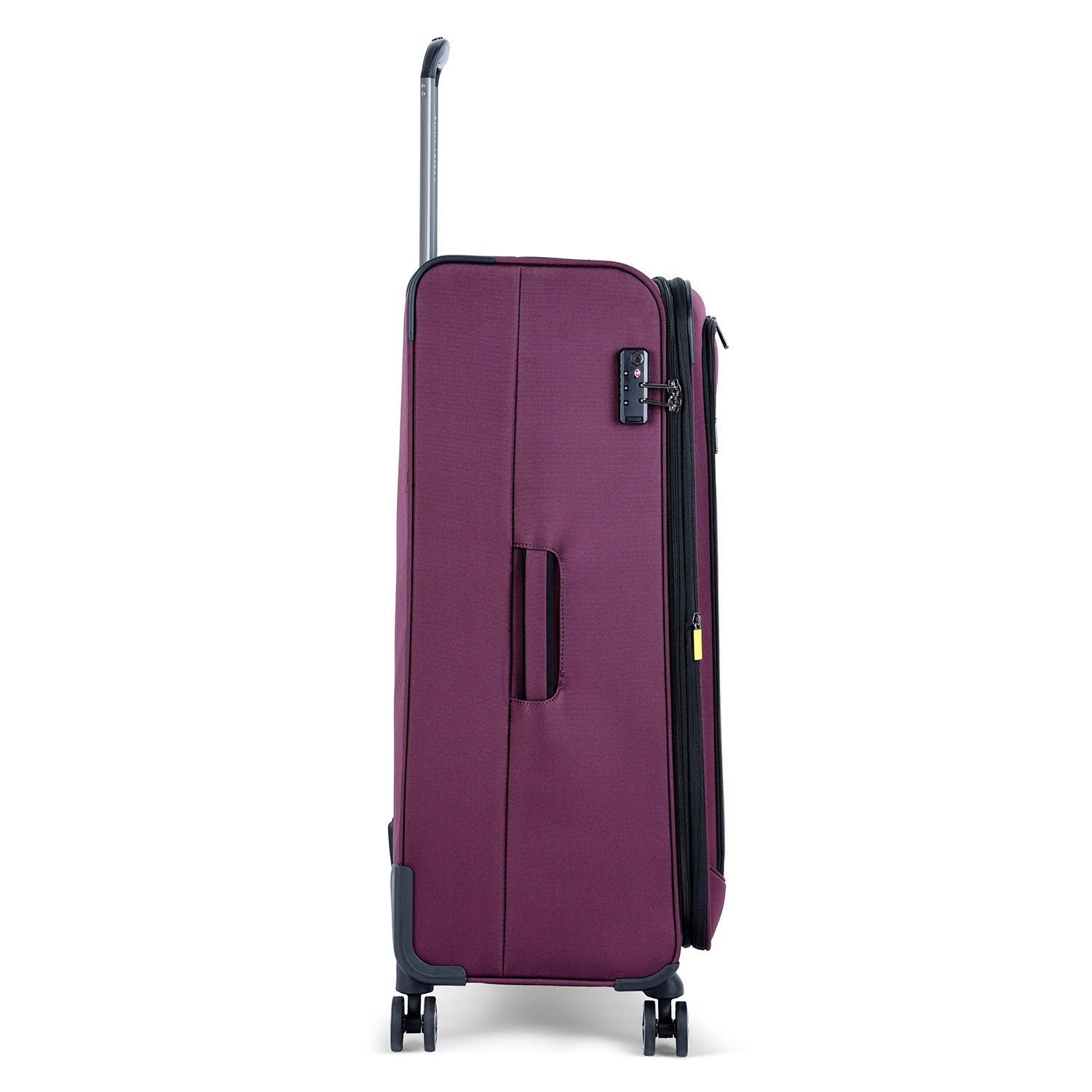 ديلسي باريس بريسيلا