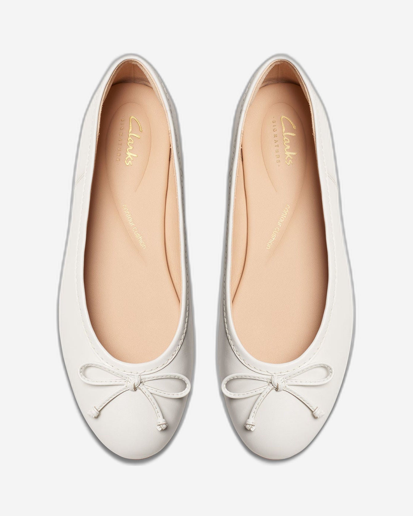 كلاركس فاونا ليلي (قياسي)