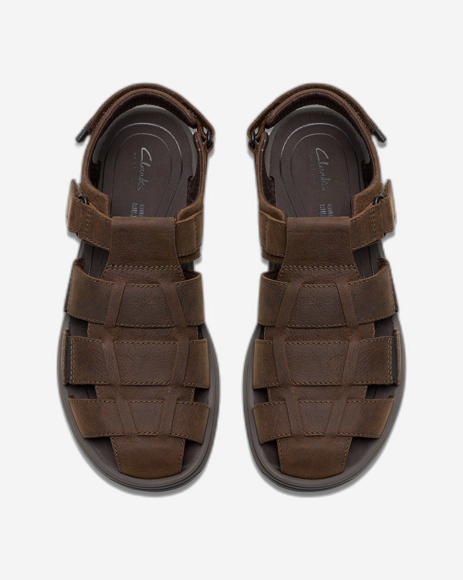 كلاركس سولتواي كوف (مقاس قياسي)