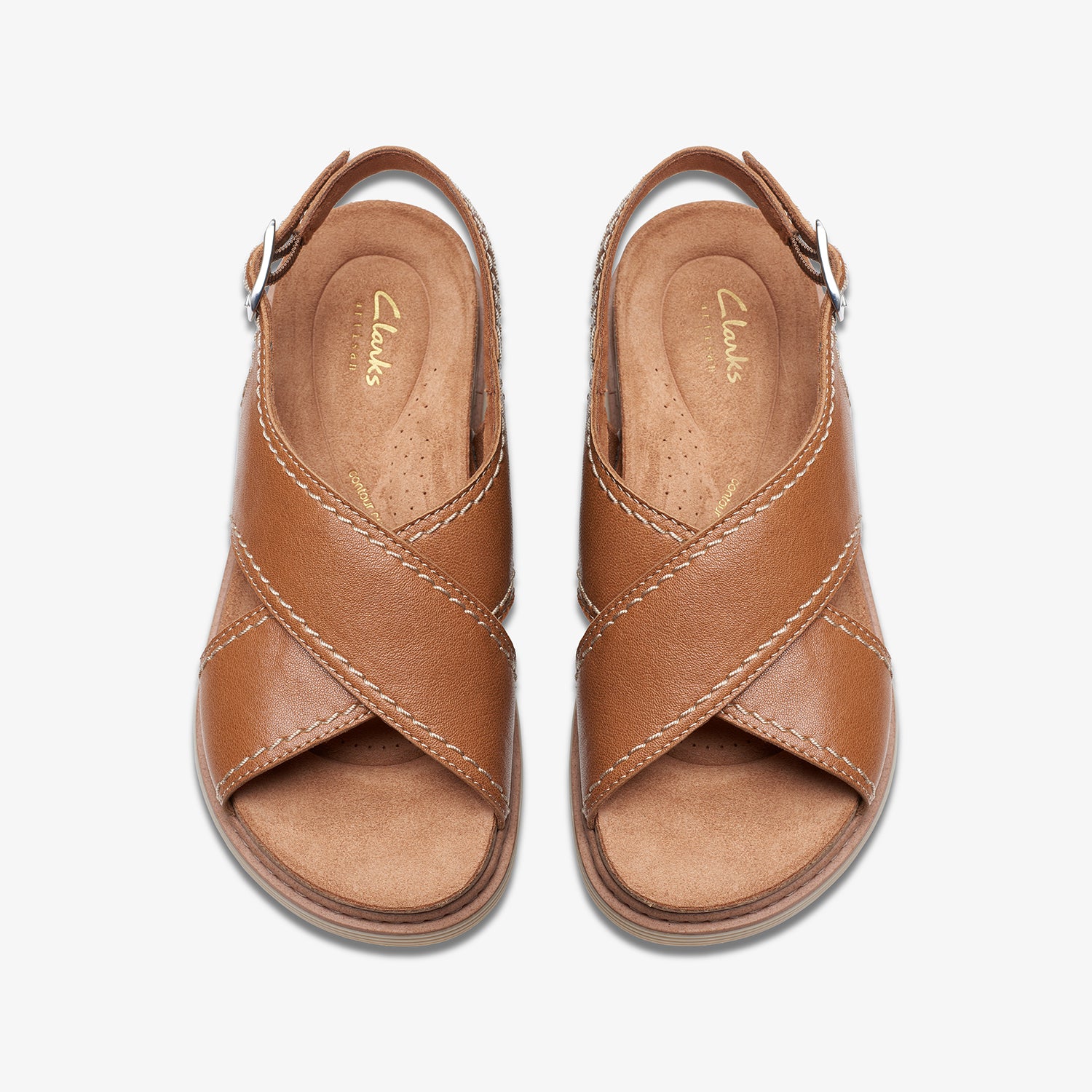 حزام أرويل من كلاركس (مقاس قياسي)