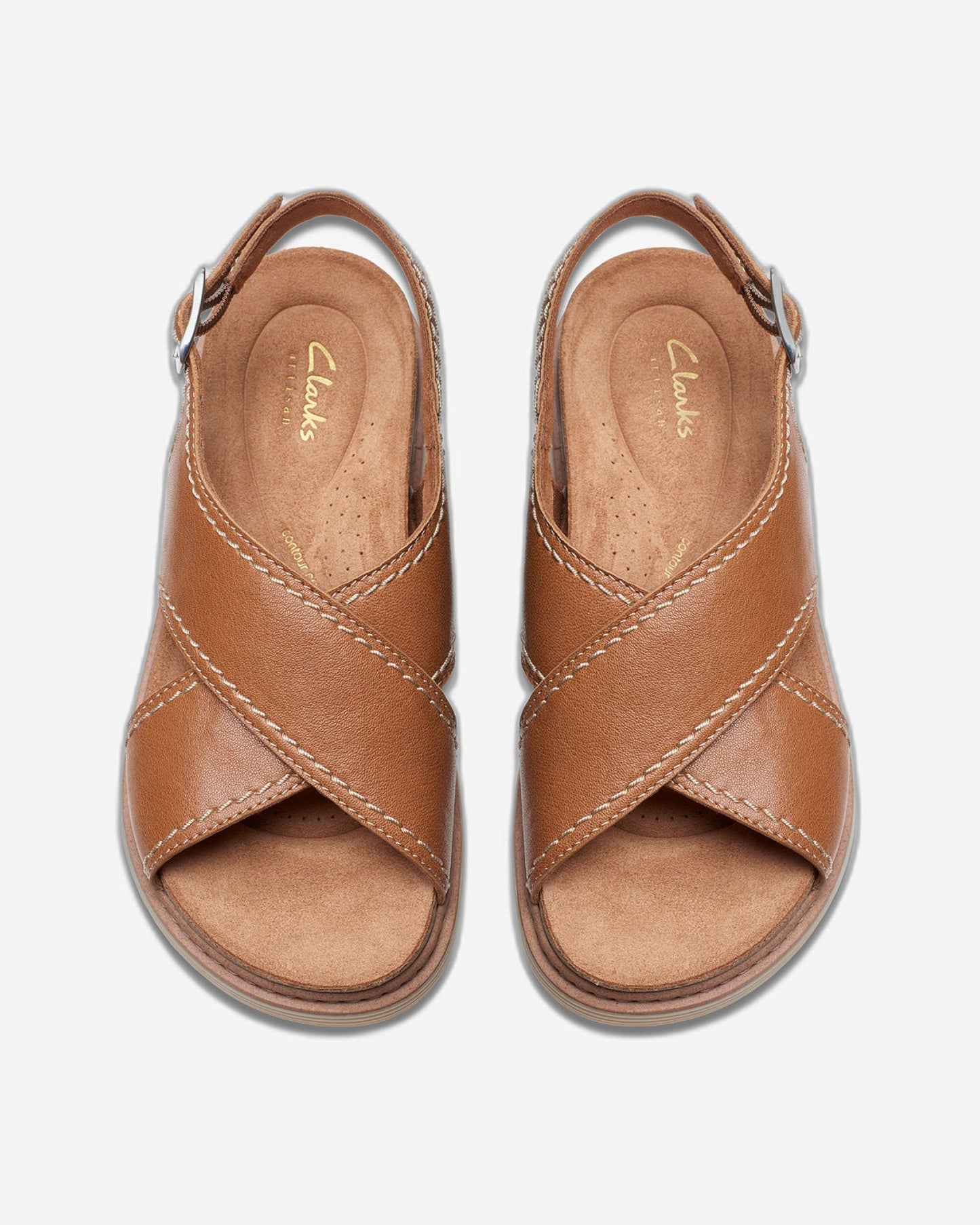 حزام أرويل من كلاركس (مقاس قياسي)