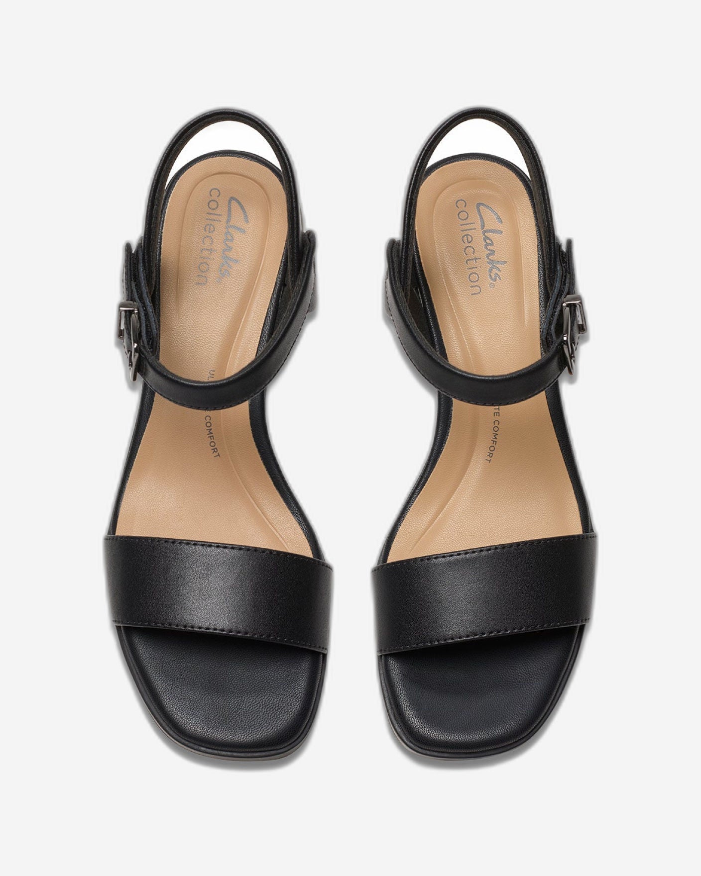 كلاركس جايلان راي (مقاس قياسي)