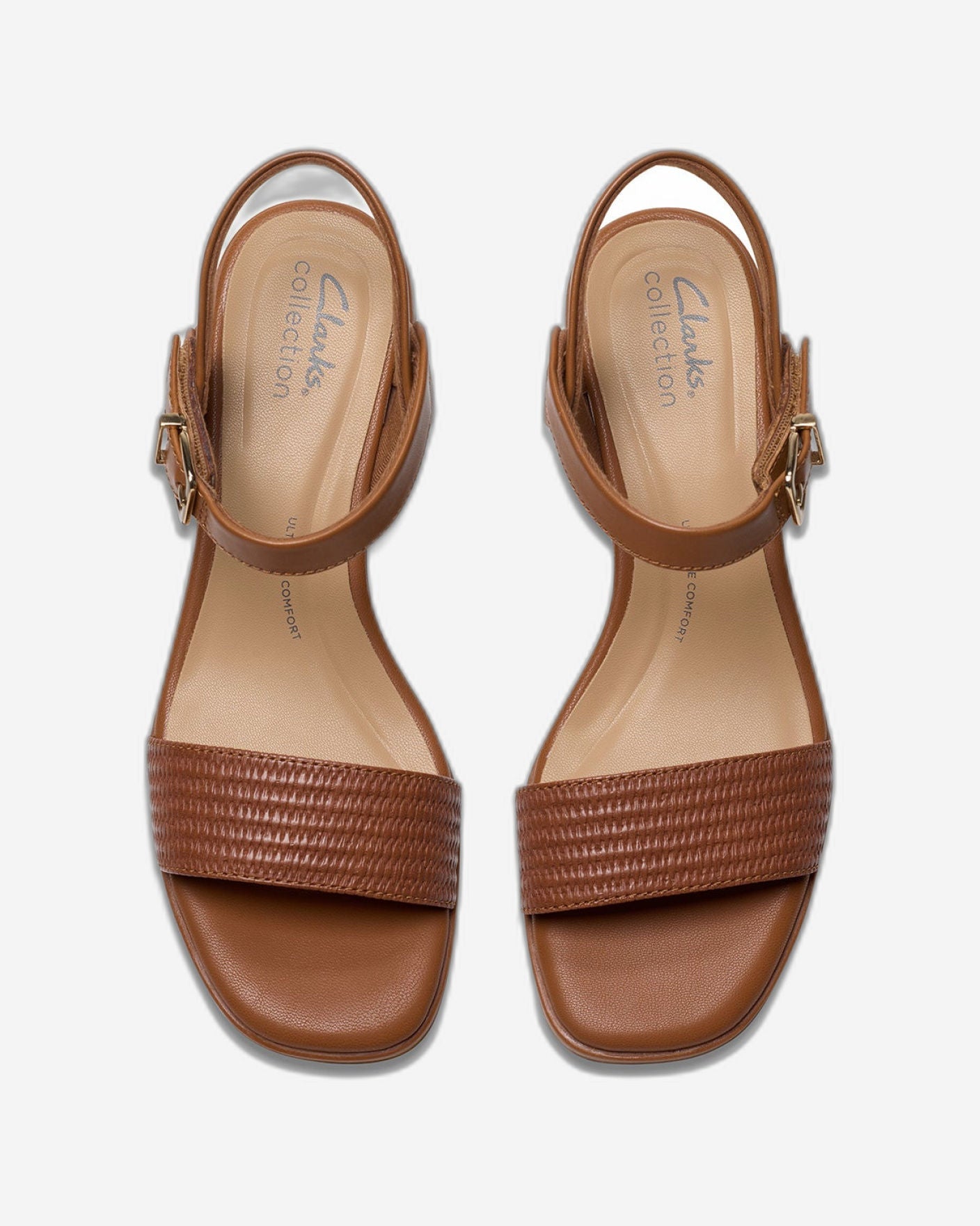 كلاركس جايلان راي (مقاس قياسي)