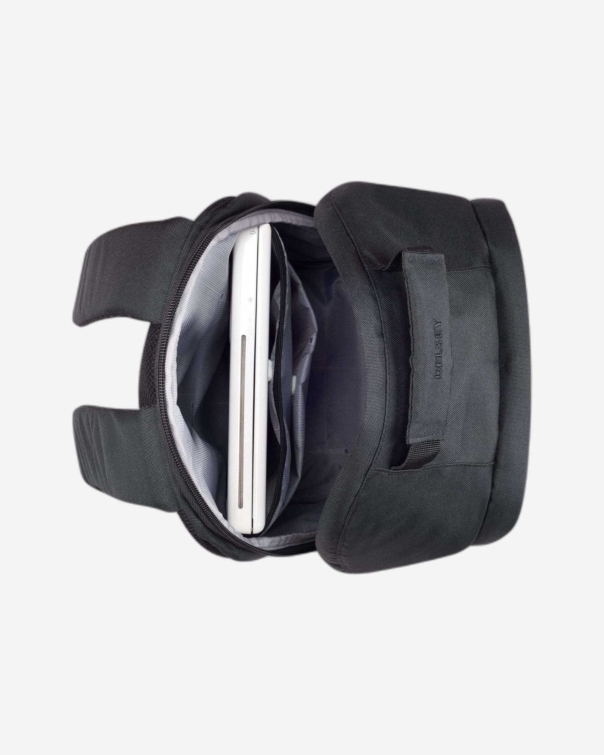 ديلسي باريس سيكوربان