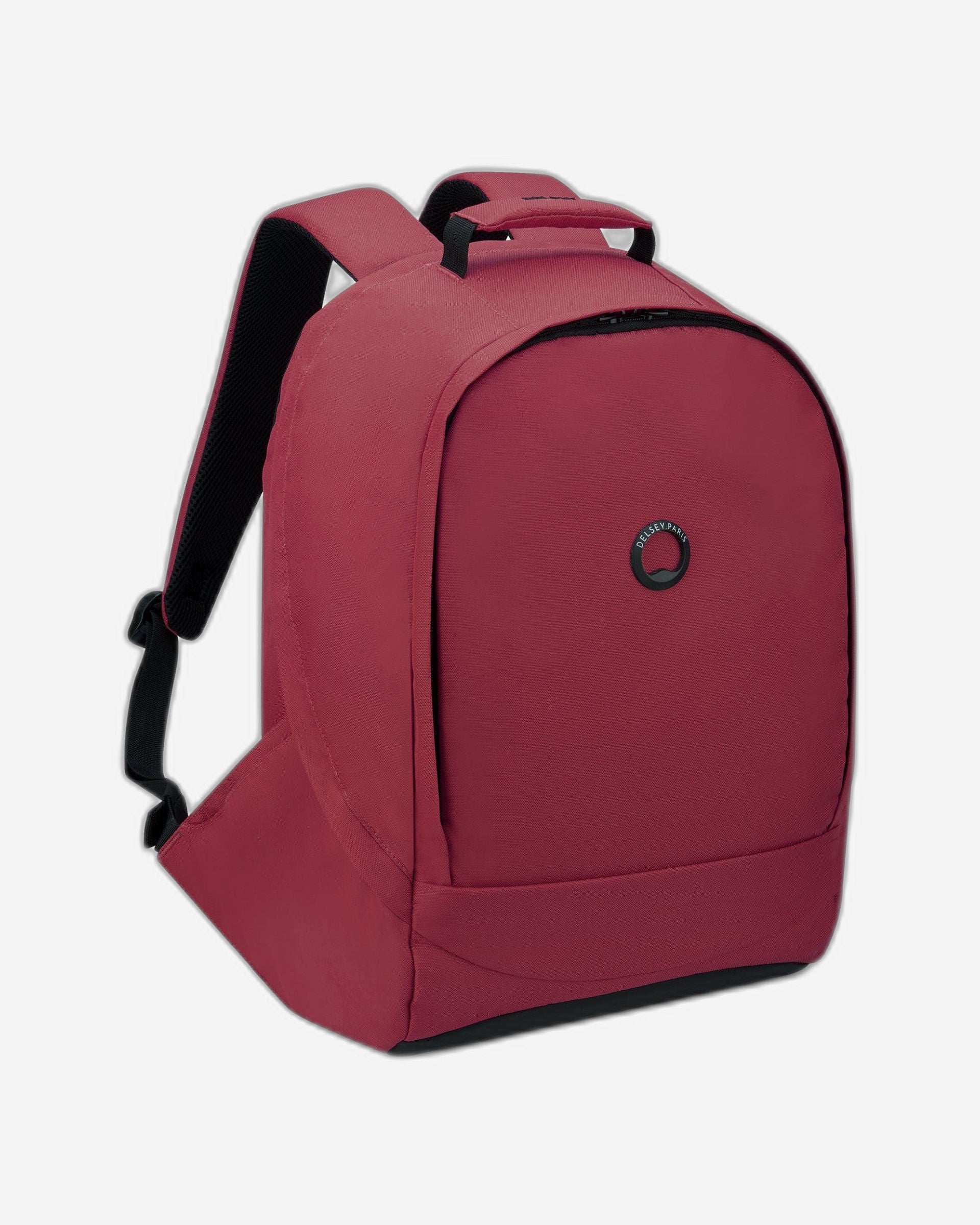 ديلسي باريس سيكوربان