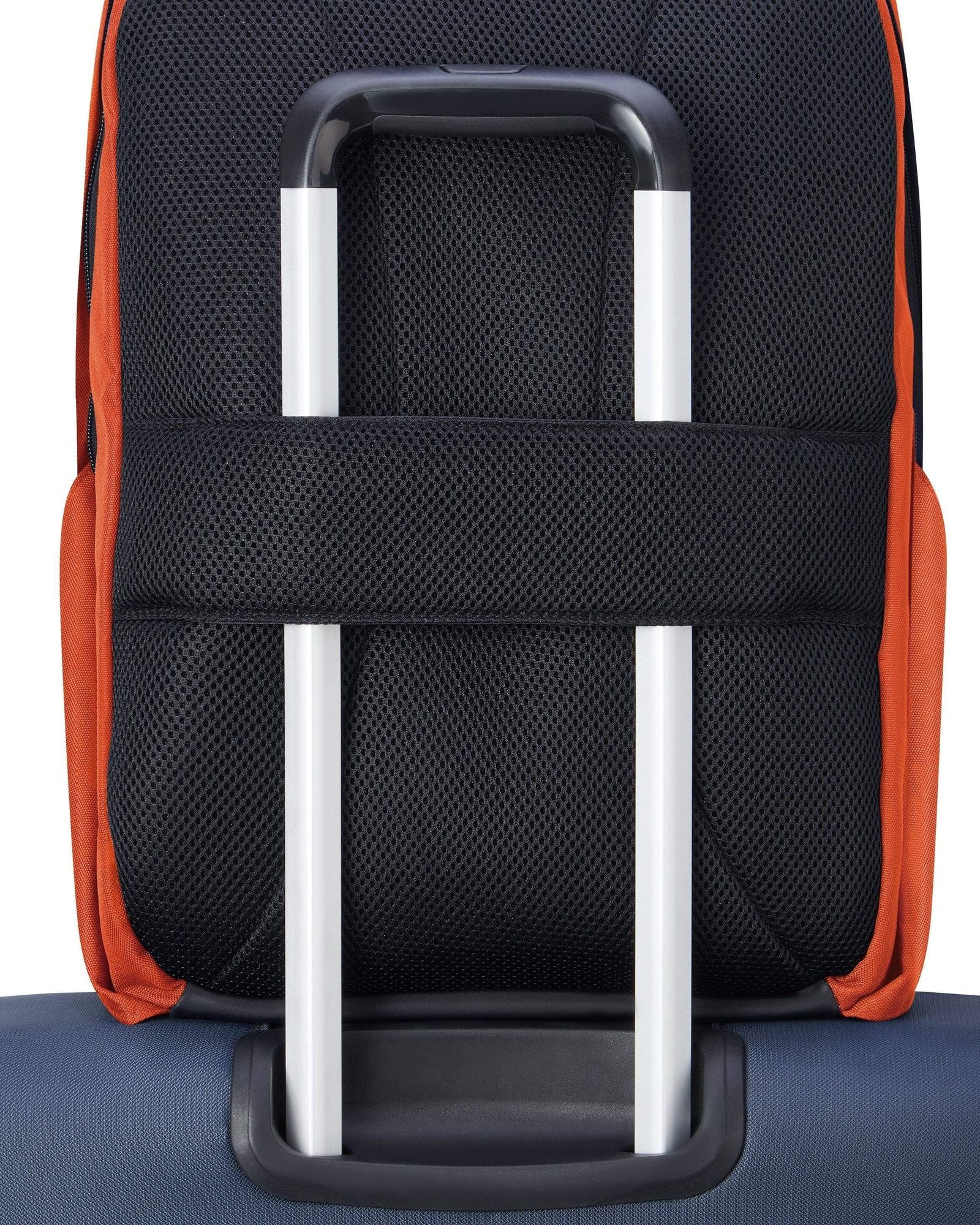 ديلسي باريس سيكوربان