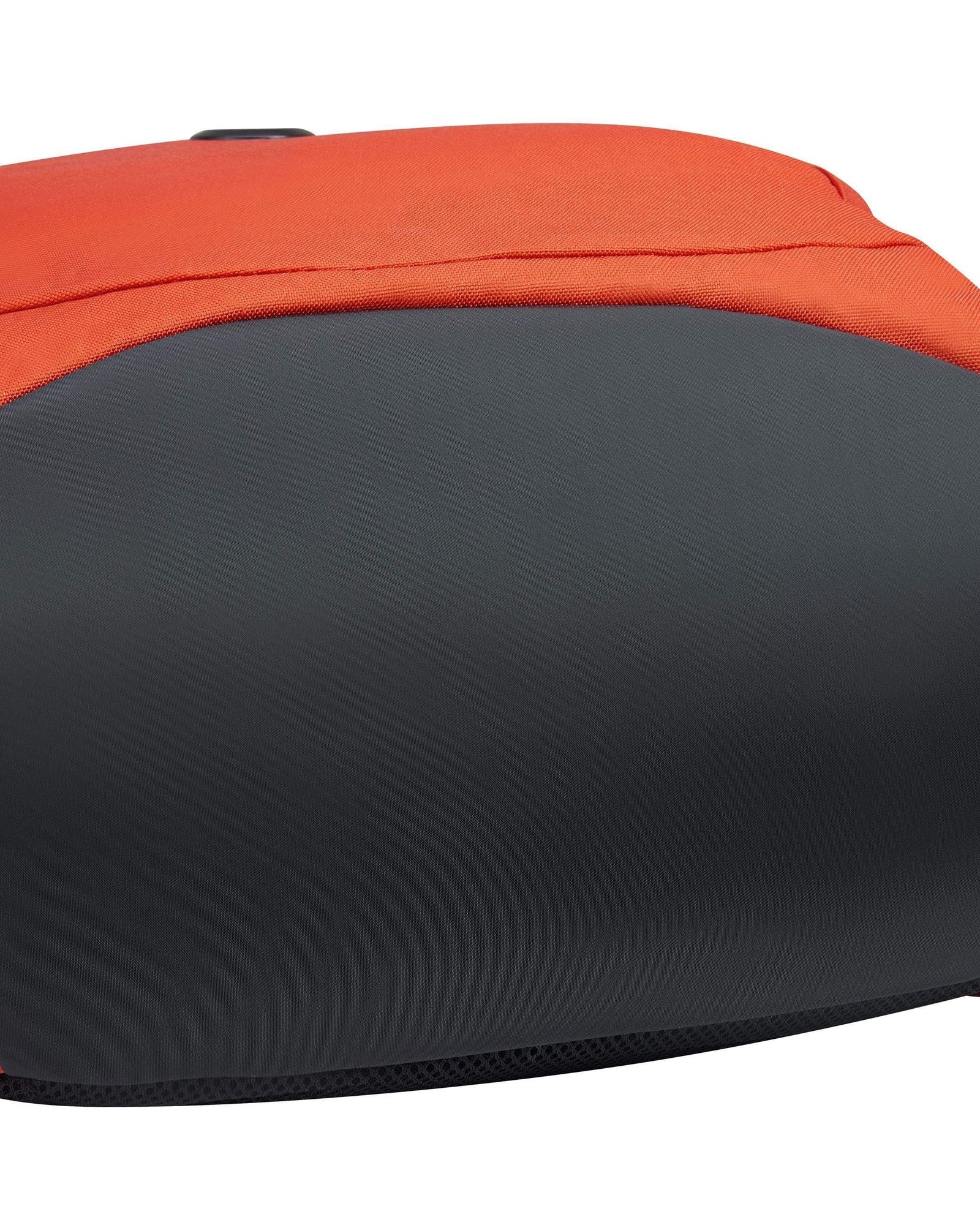 ديلسي باريس سيكوربان