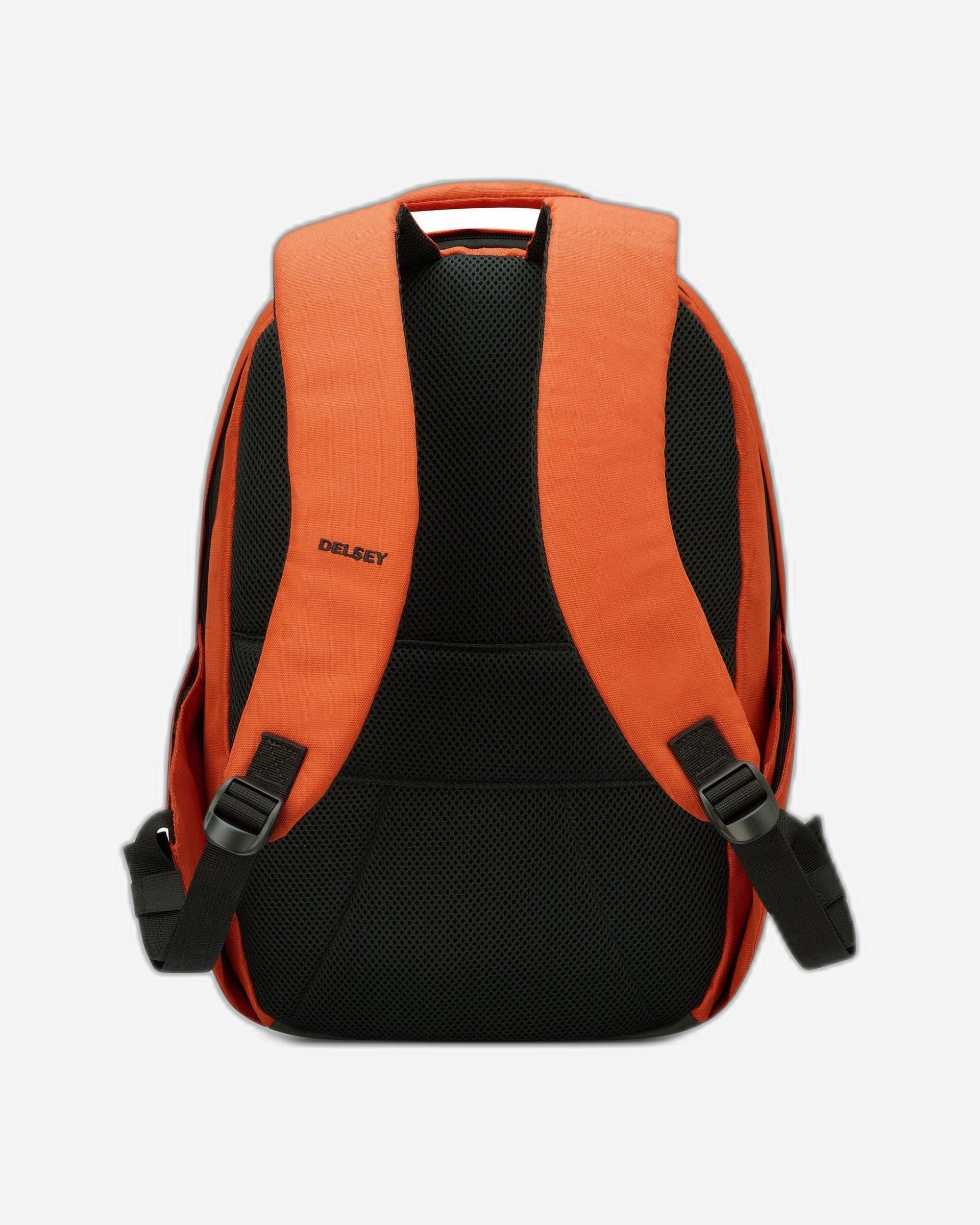 ديلسي باريس سيكوربان