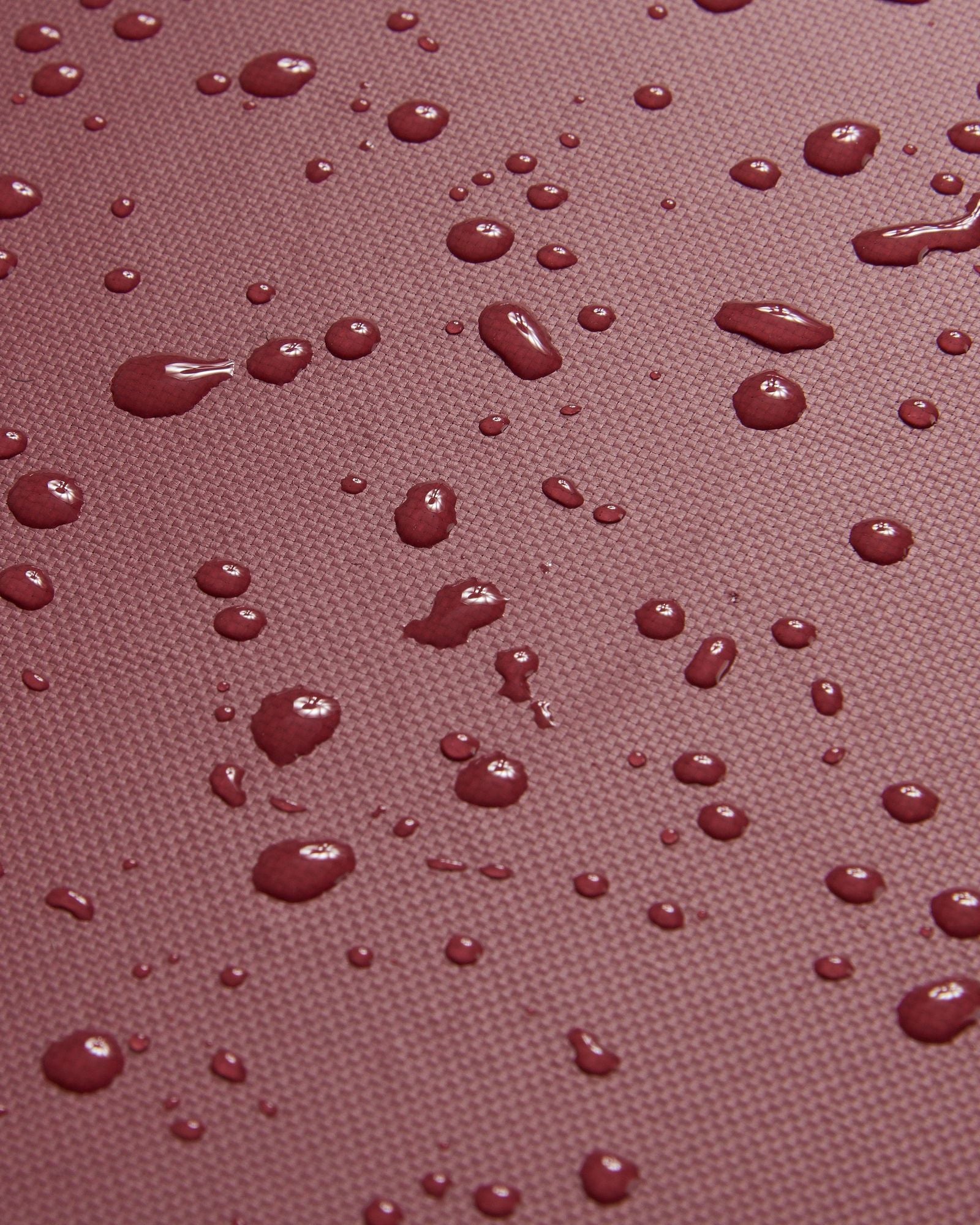 ديلسي باريس راسبيل