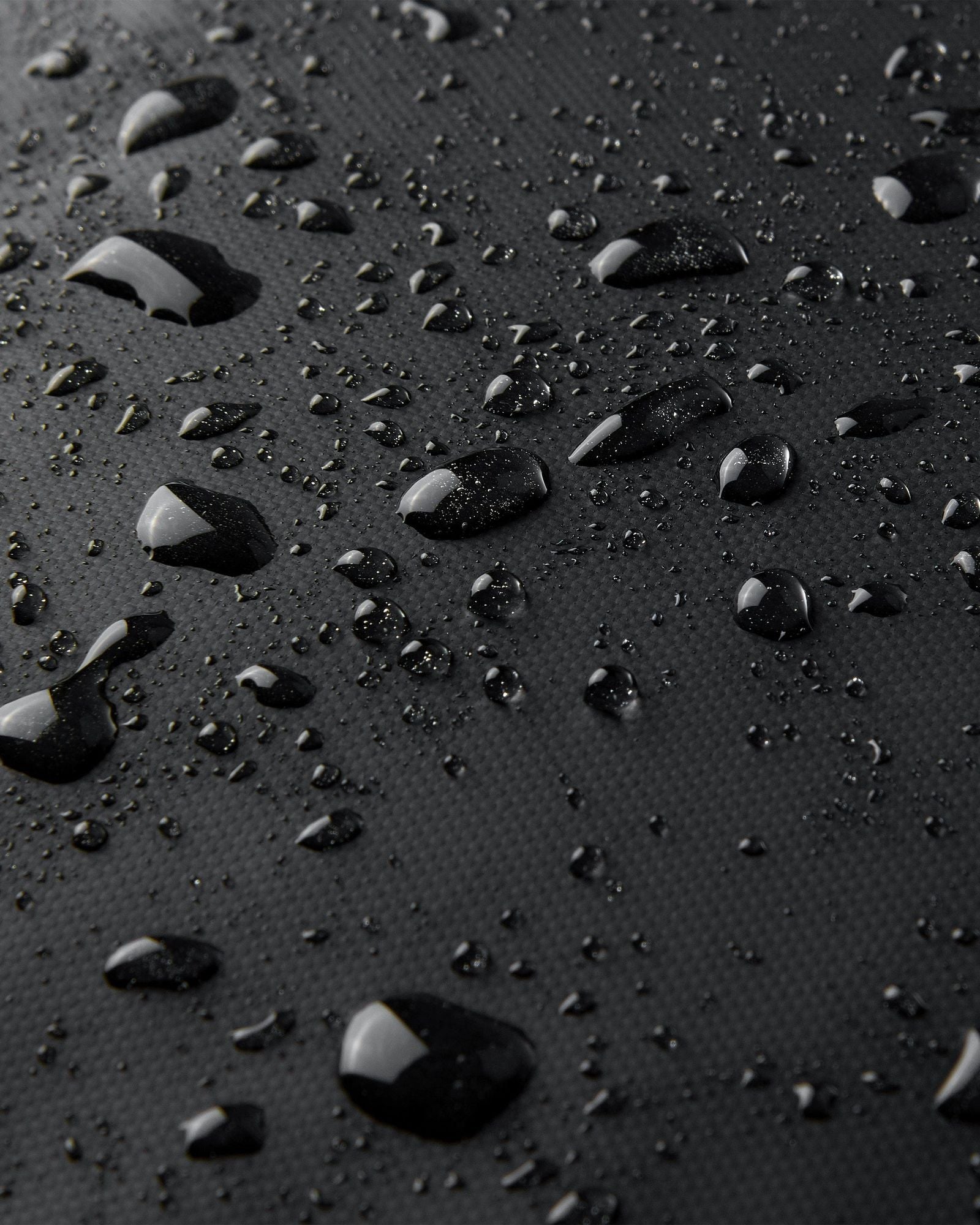 ديلسي باريس راسبيل