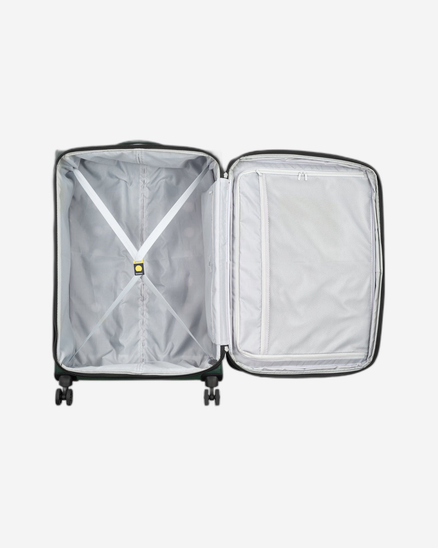 ديلسي باريس بين أب 6