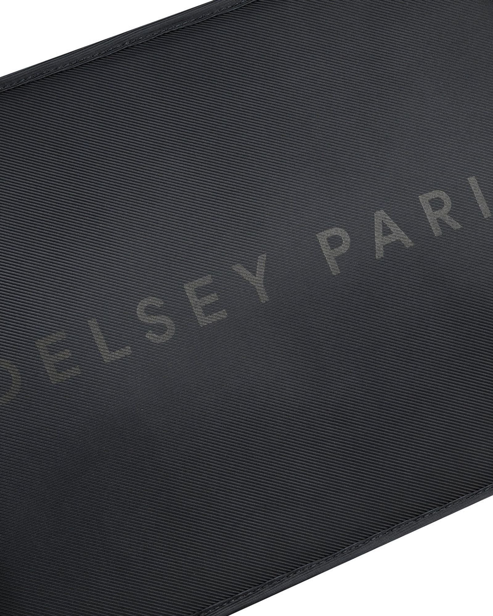 حقيبة ظهر ديلسي باريس آرشي ذات حجرتين