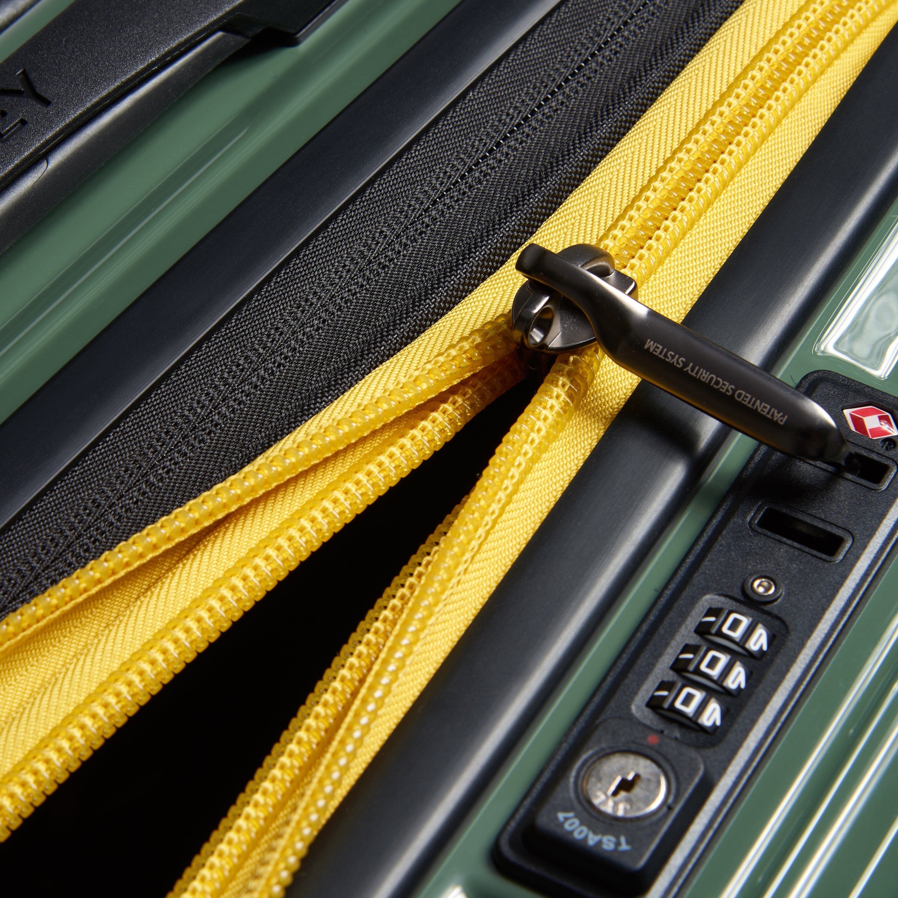 ديلسي باريس ريمبارت