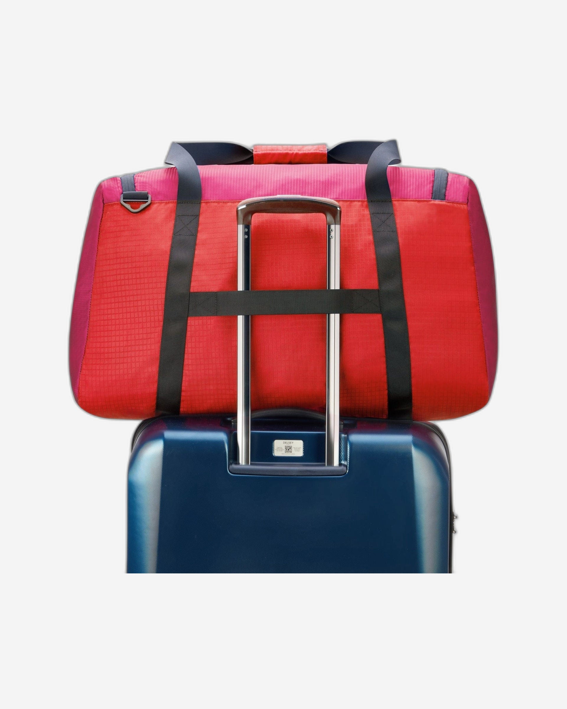 ديلسي باريس نوماد