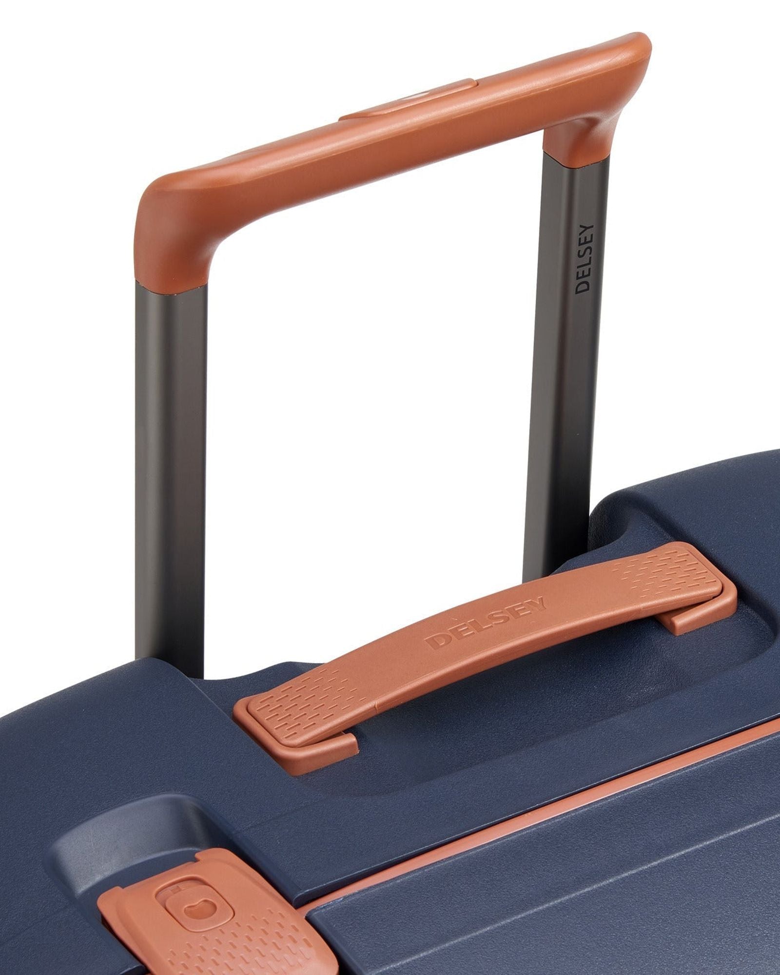 ديلسي باريس مونسي 2.0 (مجموعة مميزة)