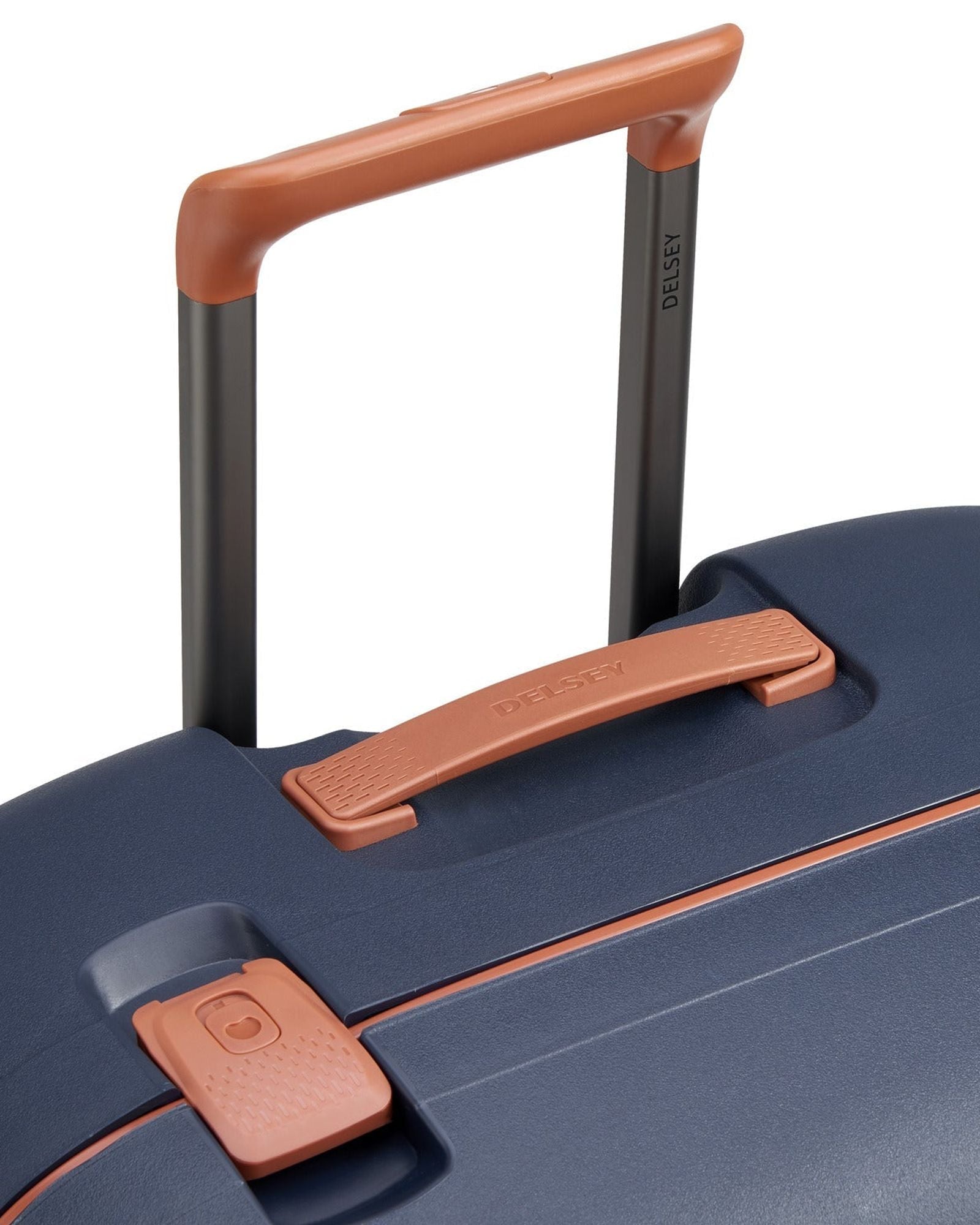 ديلسي باريس مونسي 2.0 (مجموعة مميزة)