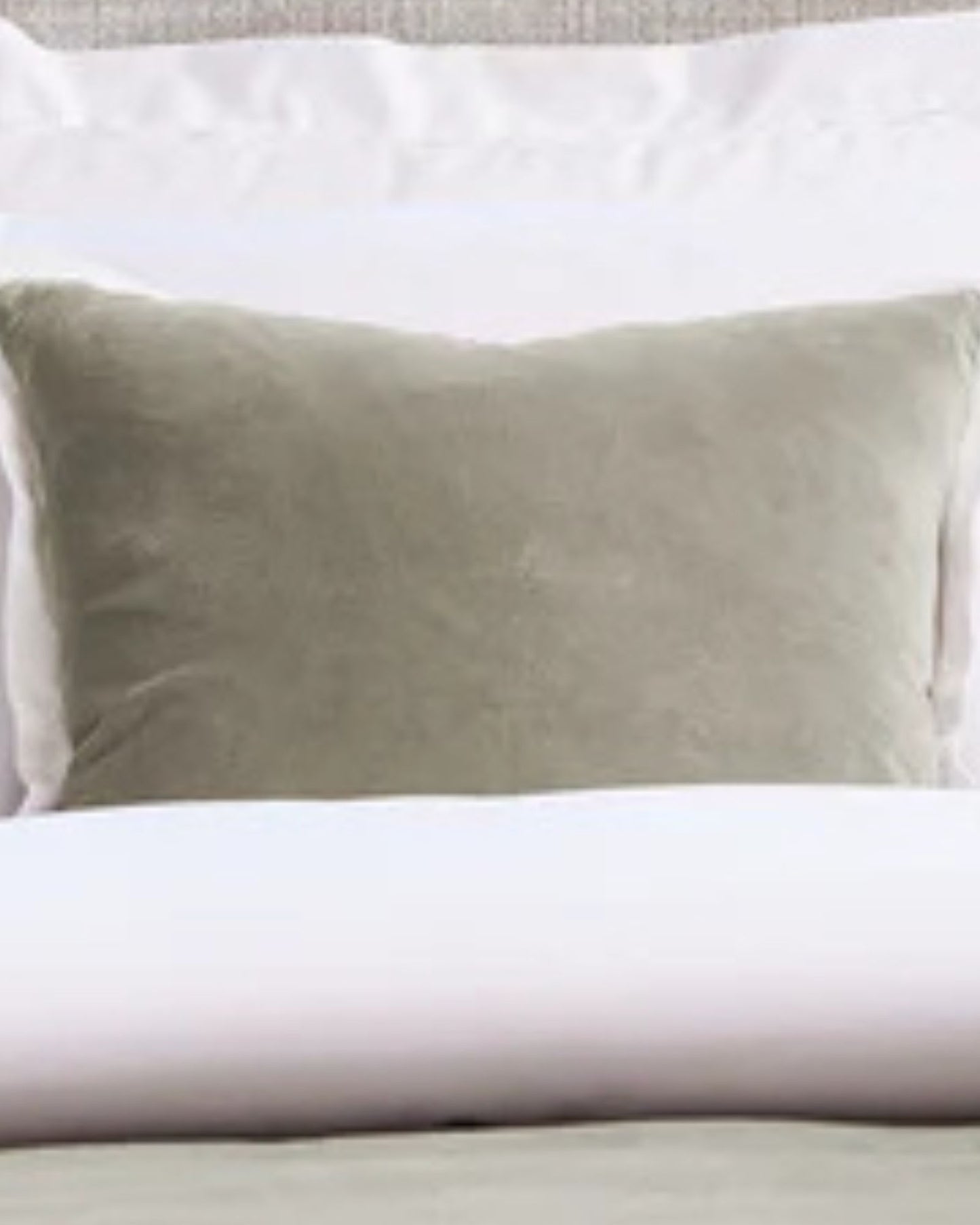 وسادة كريستي "إلثام" المزخرفة المحشوة باللون الرملي (فضي)