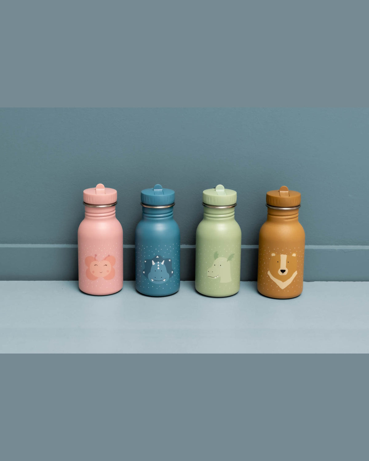 Trixie Stainless Steel Water Bottle - 350ml - Mr. Triceratops