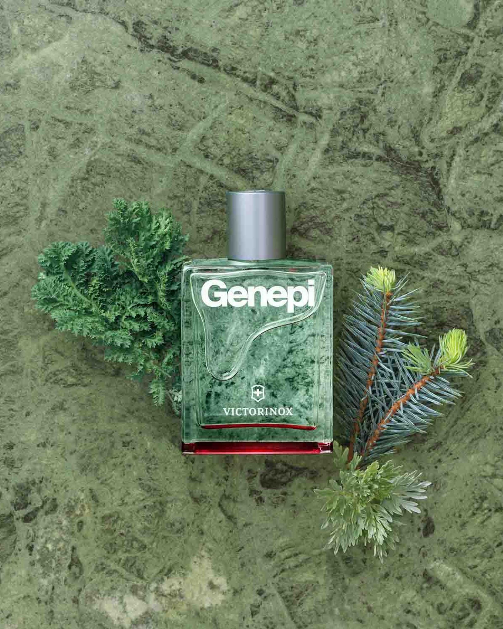 فيكتورينوكس جينيبي للرجال أو دو تواليت 100 مل