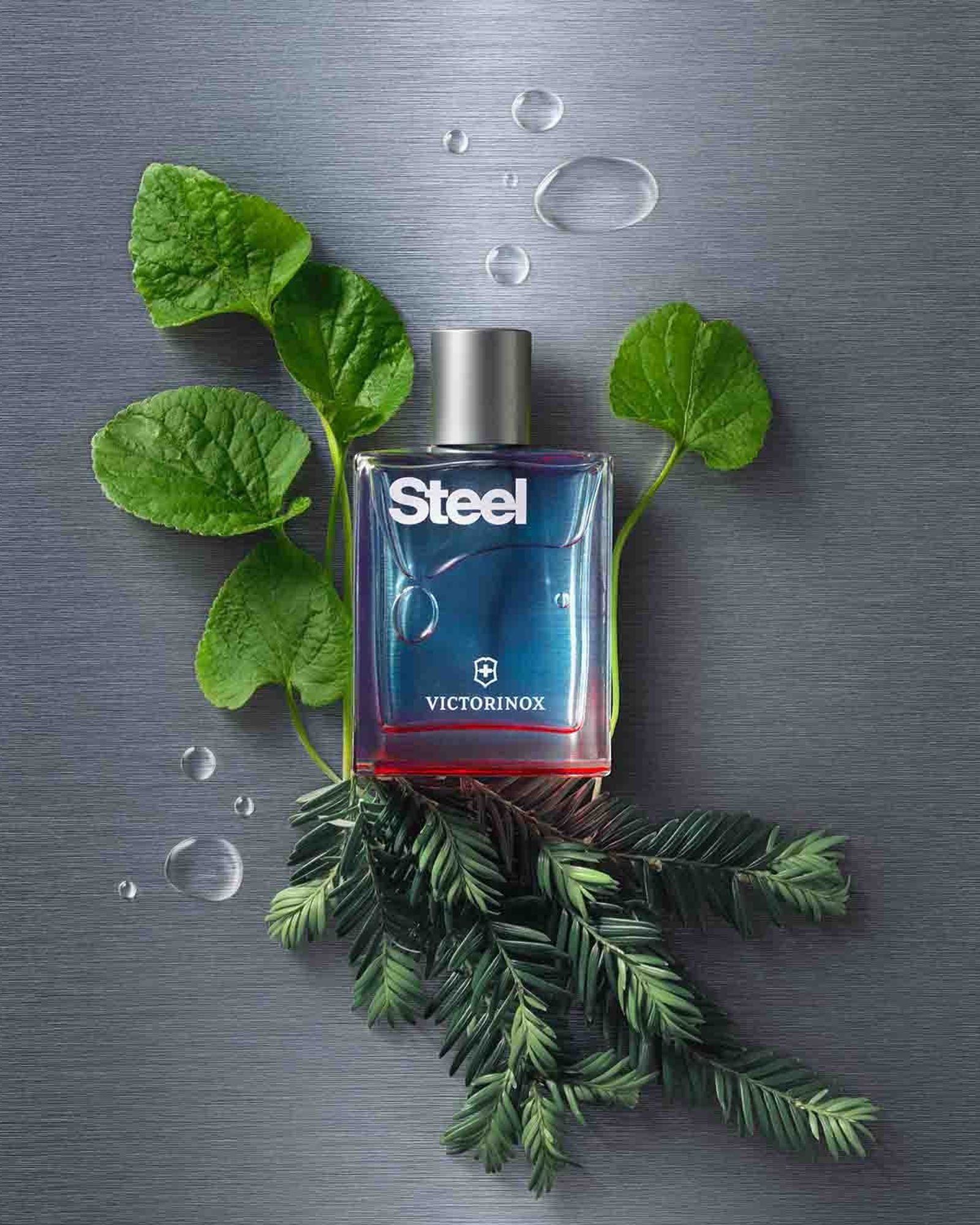 فيكتورينوكس ستيل للرجال أو دو تواليت 100 مل