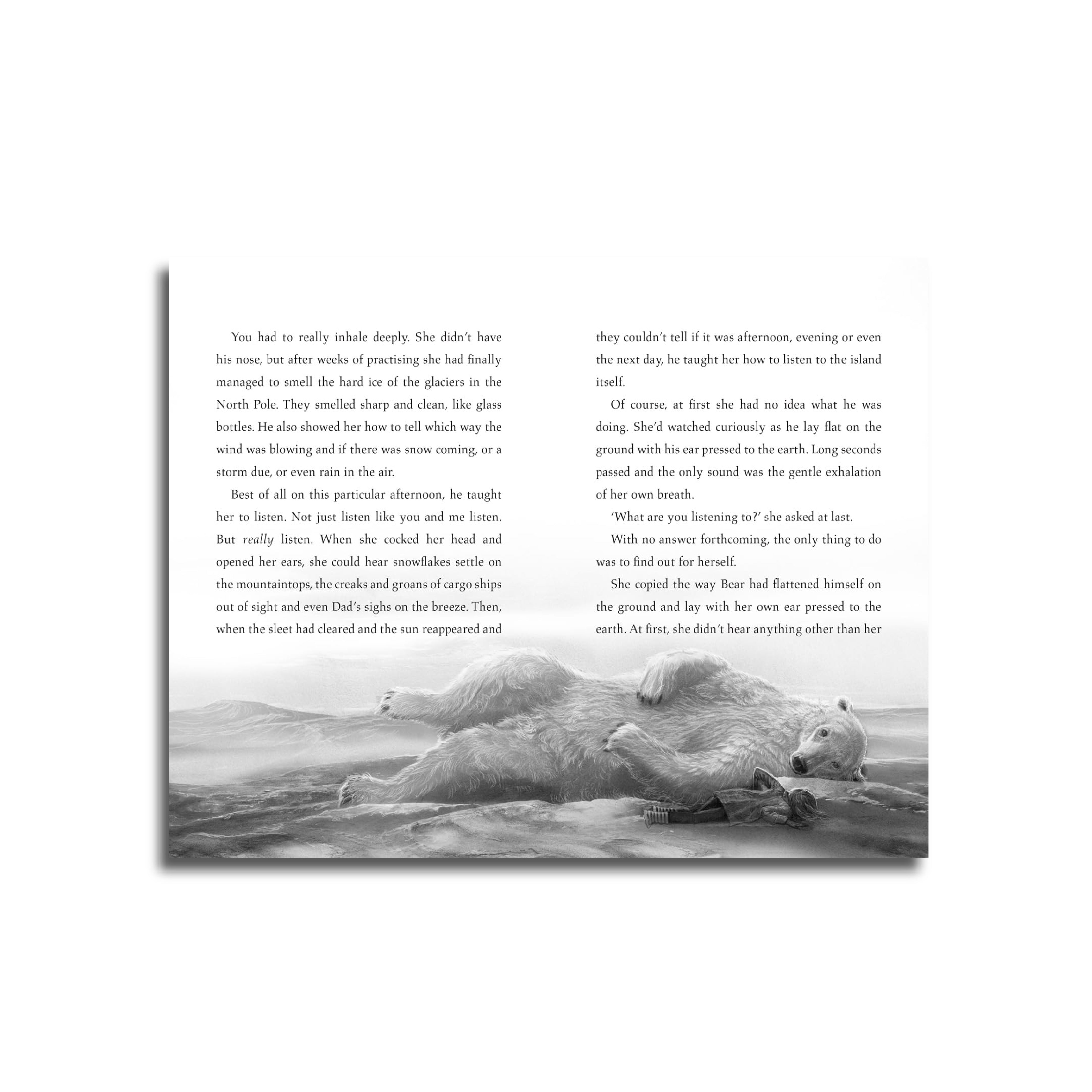 الدب الأخير