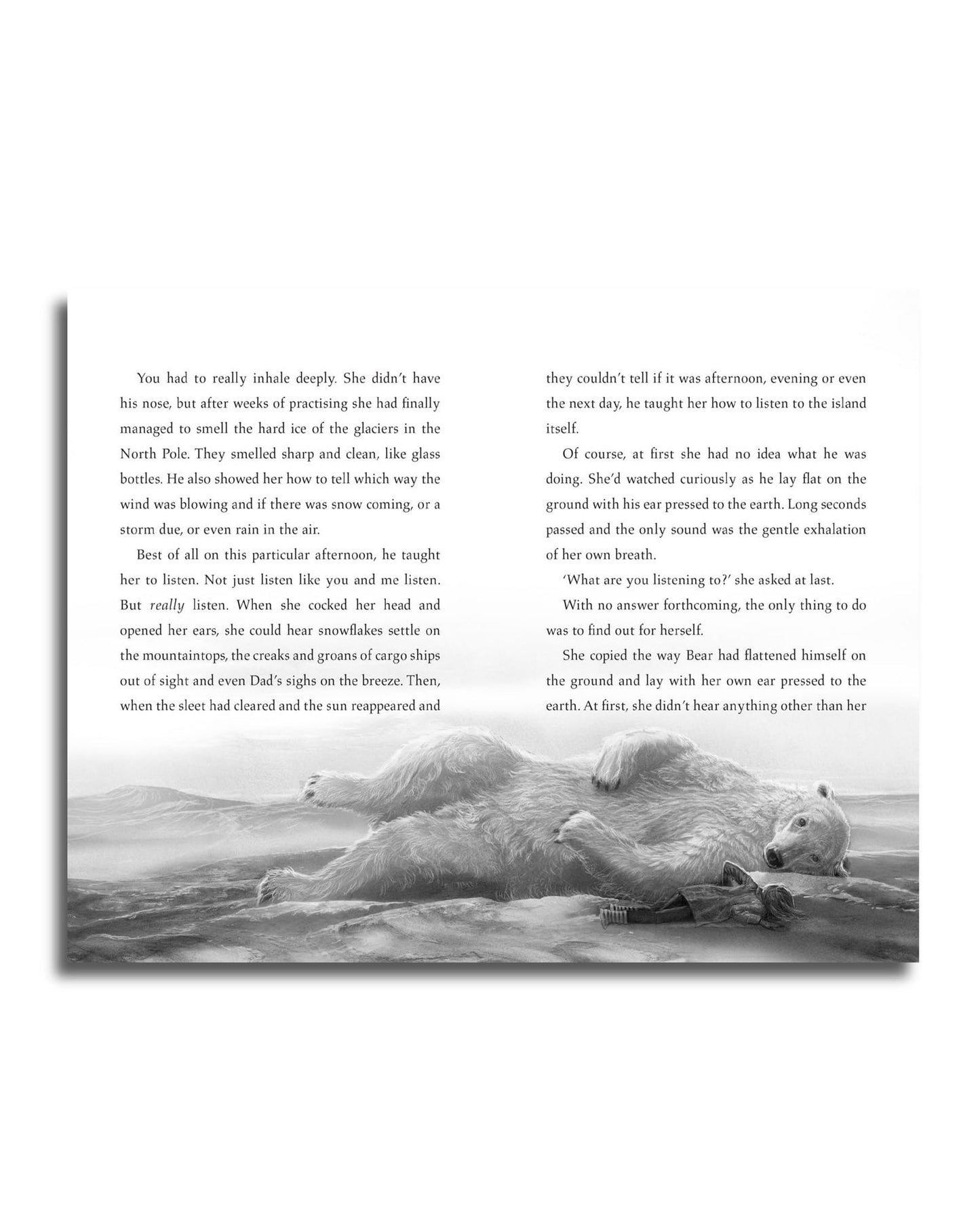 الدب الأخير