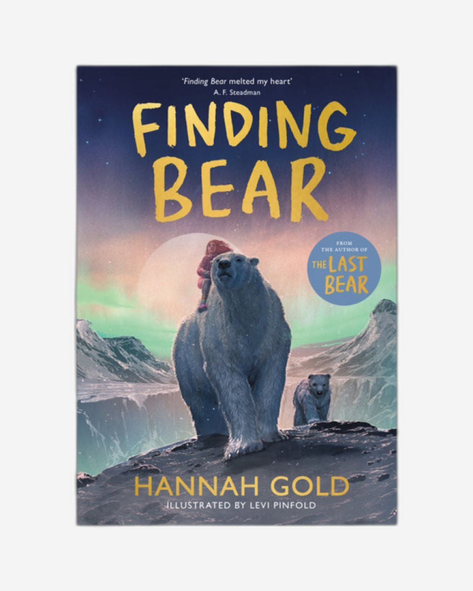 العثور على الدب