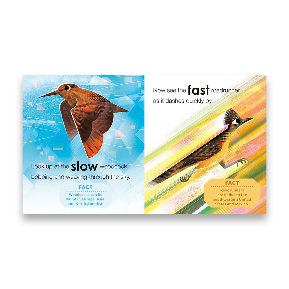 مراقبة الطيور للأطفال: الطيور حول العالم: كتاب الأضداد