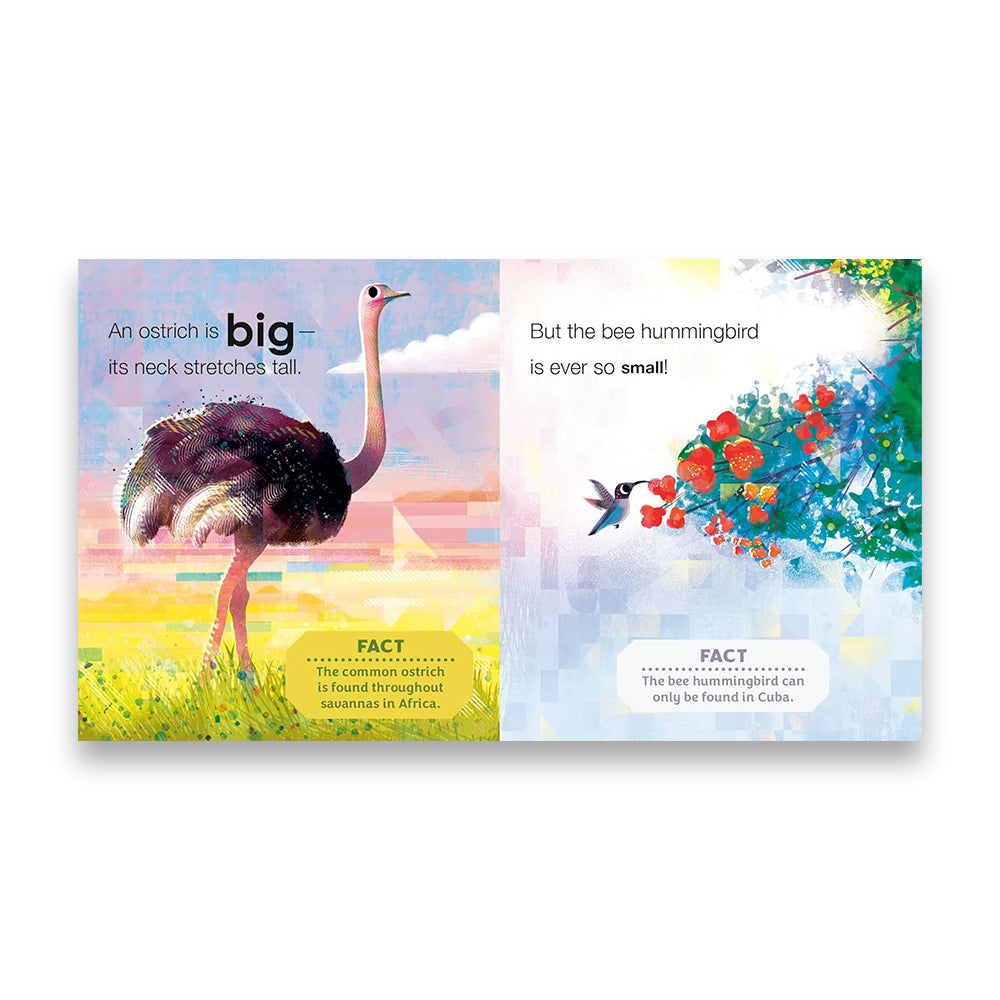 مراقبة الطيور للأطفال: الطيور حول العالم: كتاب الأضداد