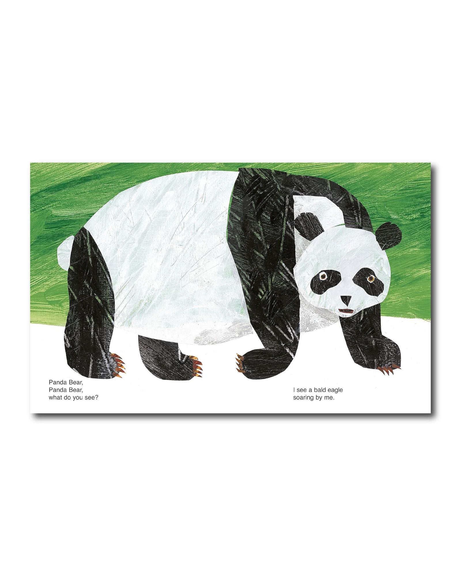 دب الباندا، دب الباندا، ماذا ترى؟