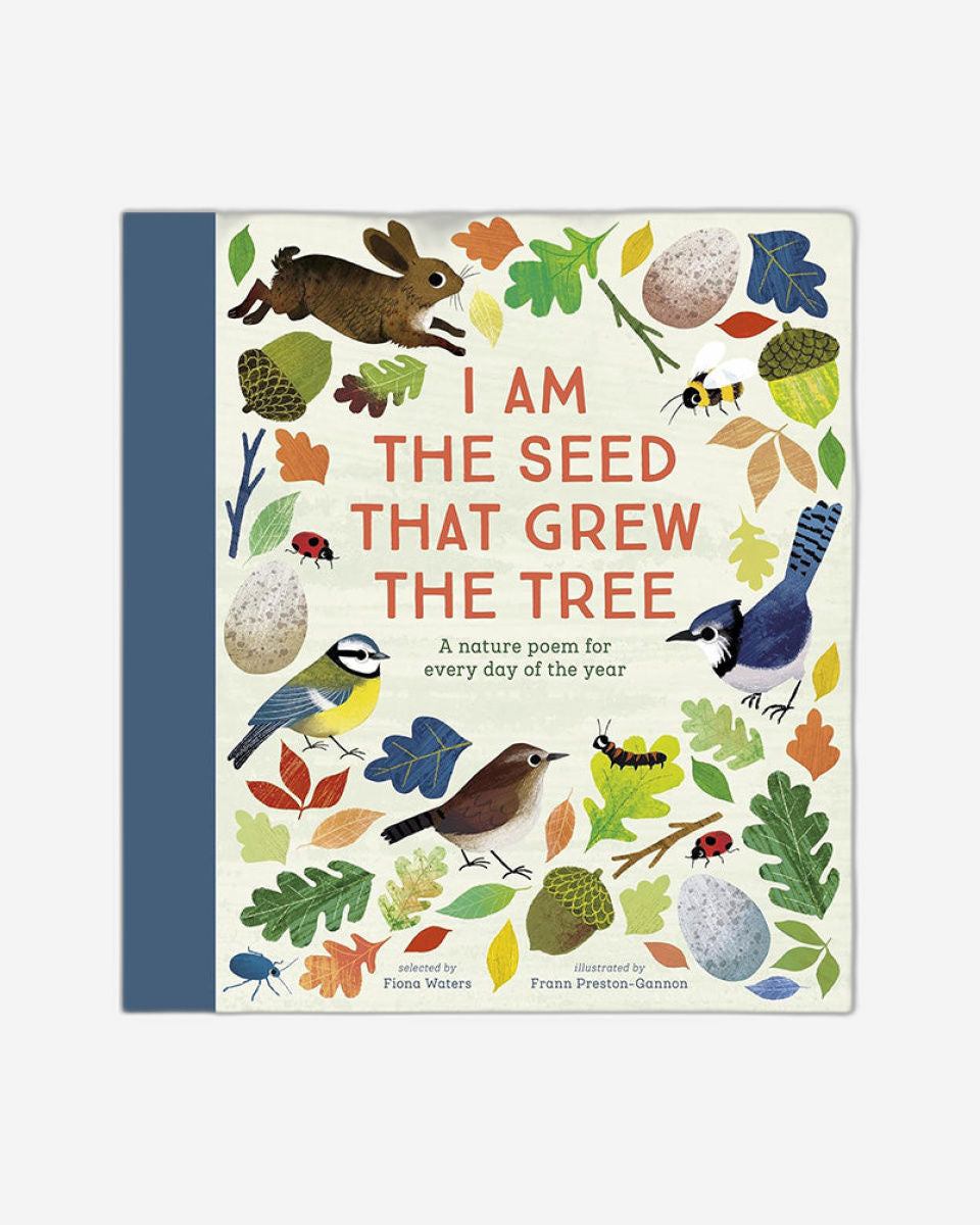 أنا البذرة التي أنبتت الشجرة