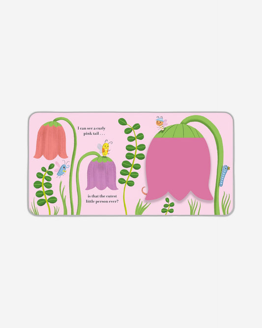 من هو اللطيف؟