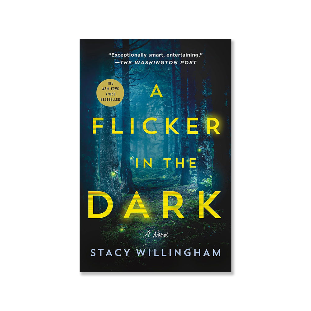 A Flicker In The Dark