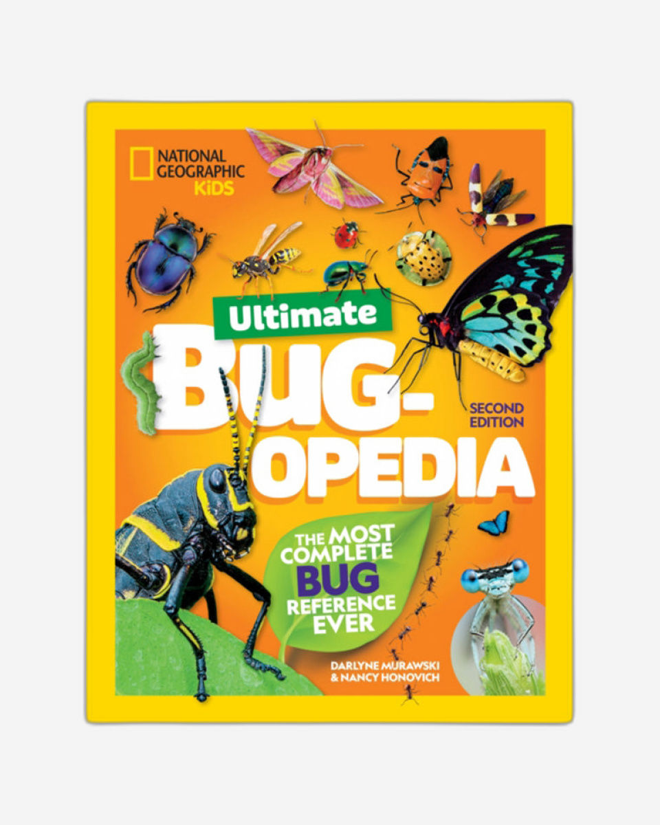 بوجوبيديا النهائية