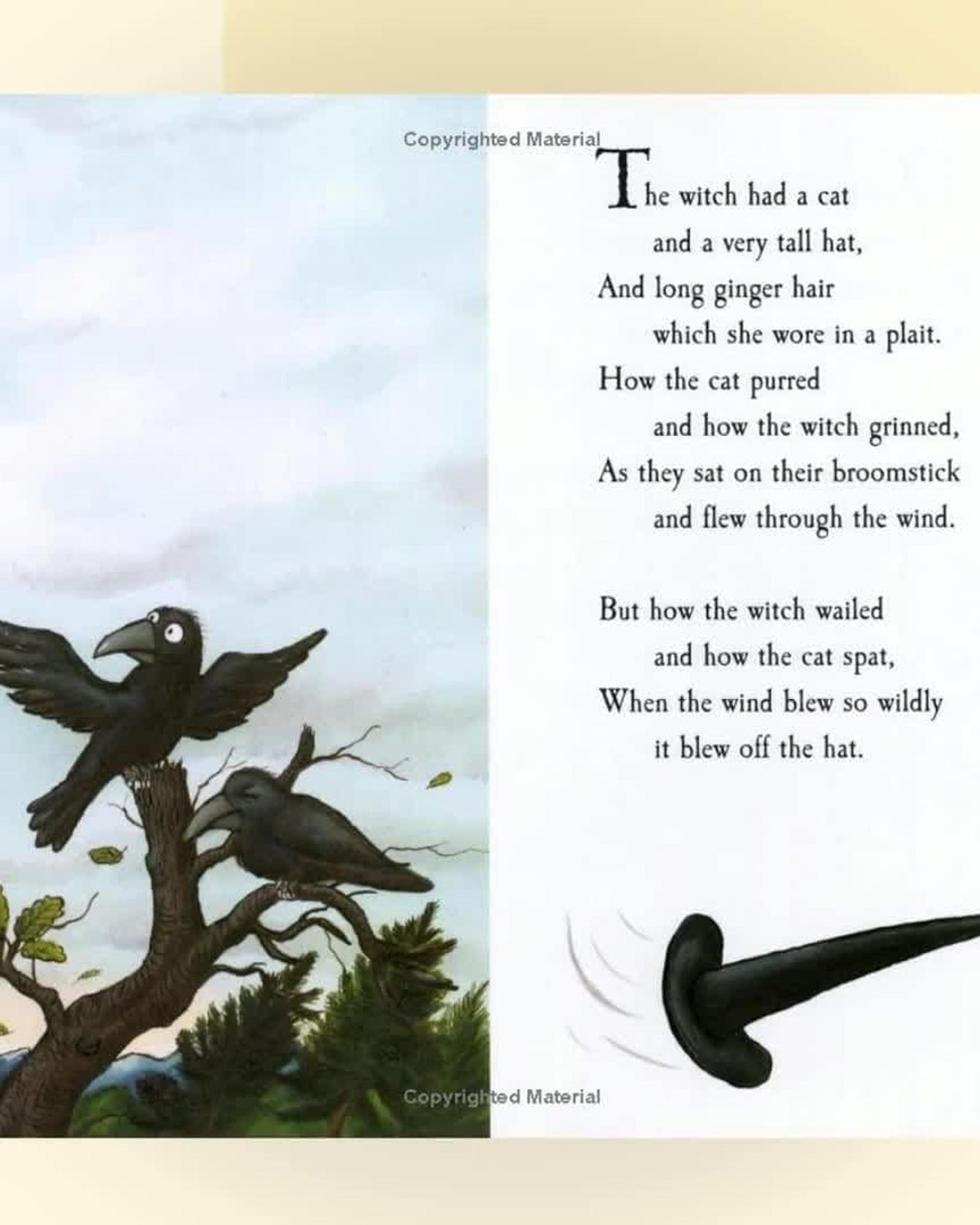 غرفة على المكنسة