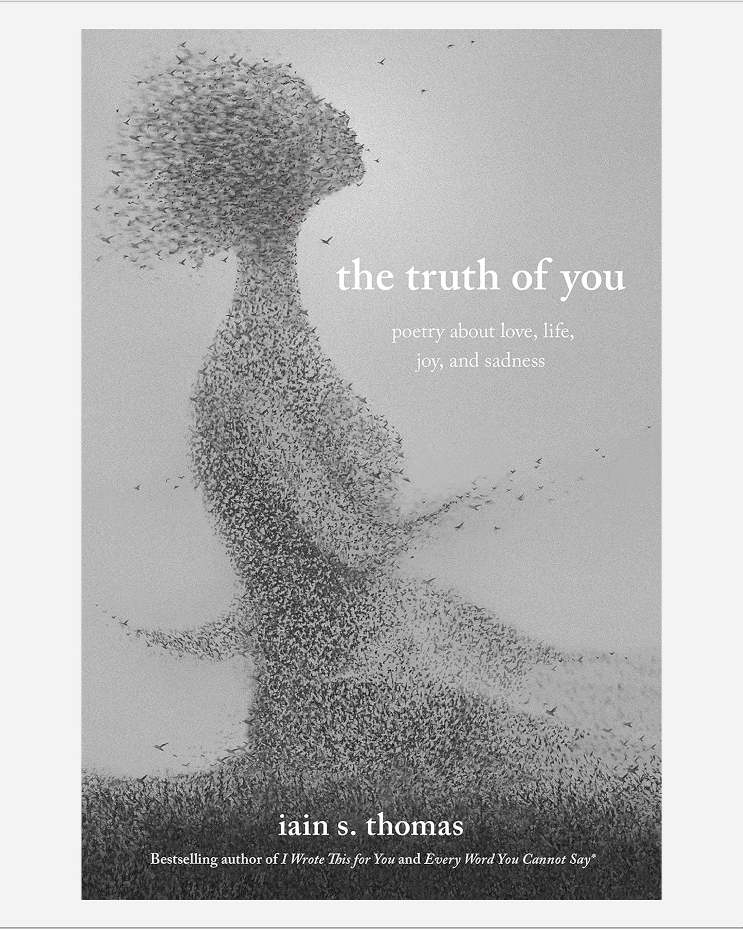 The Truth of You : Poetry About Love, Life, Joy, and Sadness
