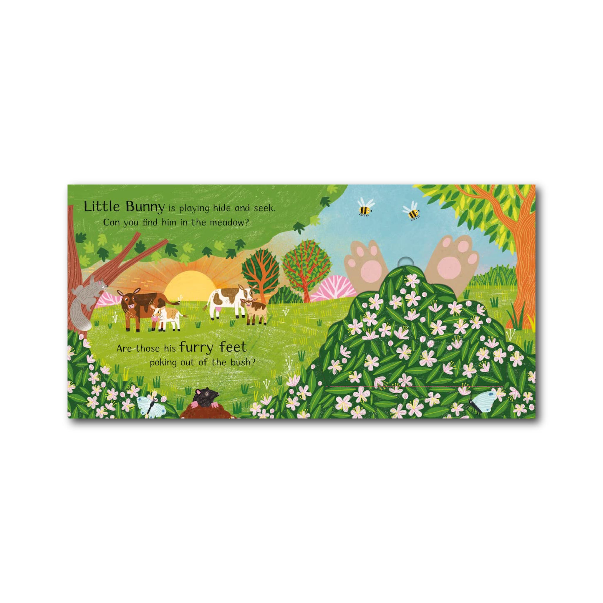 أين الأرنب الصغير؟ : كتاب الرفع ذو الغطاء القابل للفتح في النهاية!