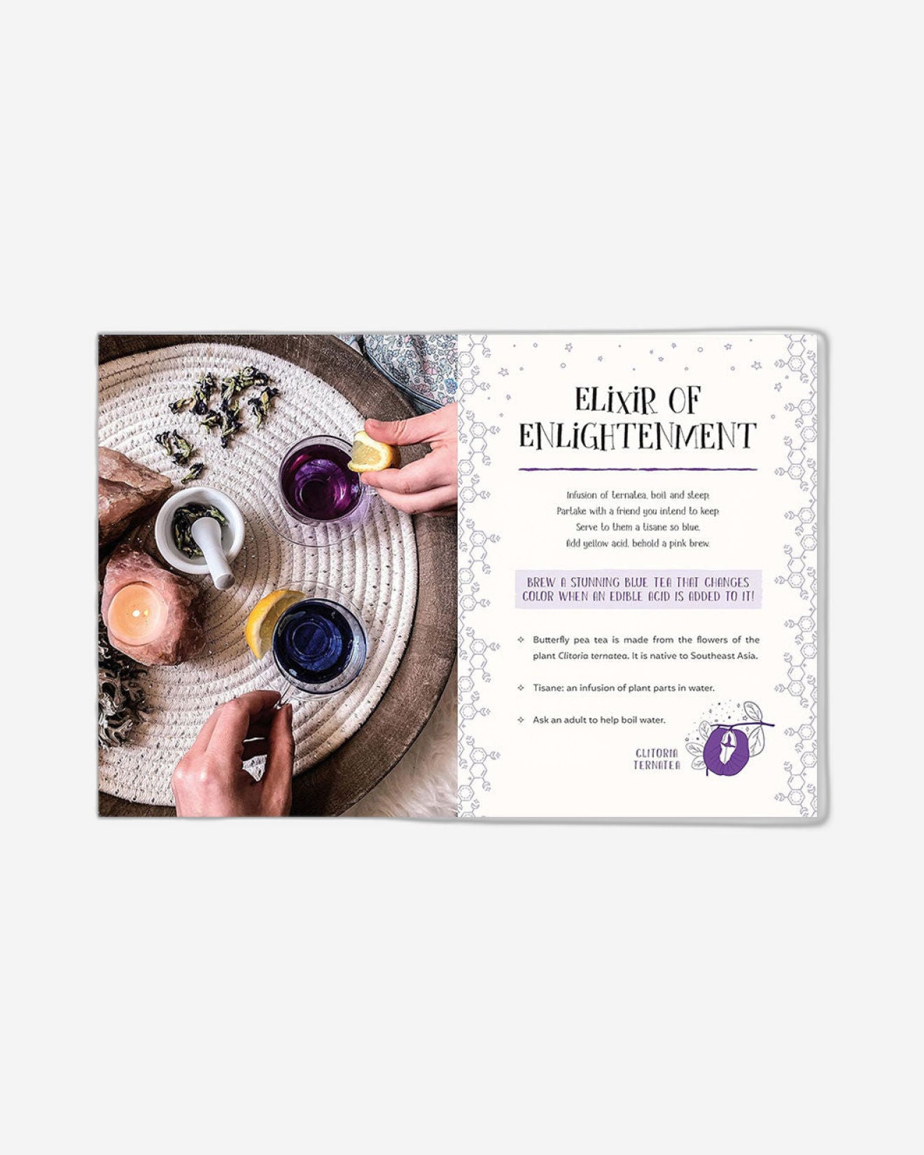 كتاب تعويذات العلوم: تجارب سحرية للأطفال