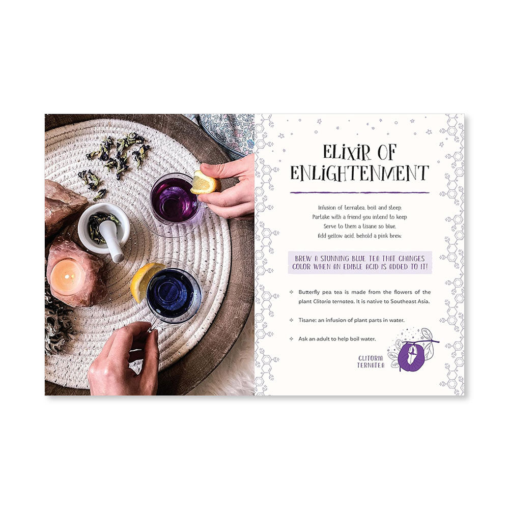 كتاب تعويذات العلوم: تجارب سحرية للأطفال