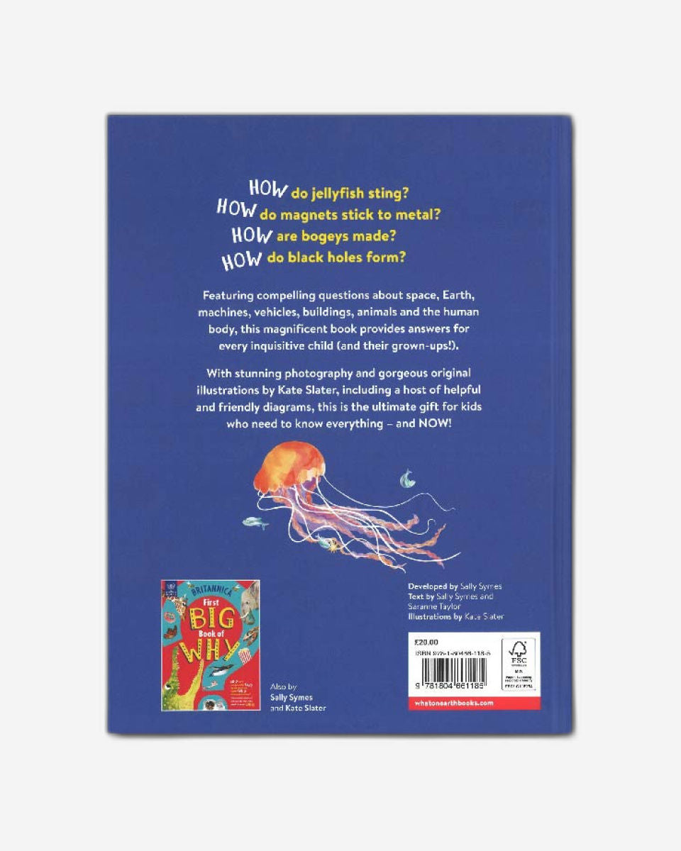 أول كتاب كبير عن كيفية